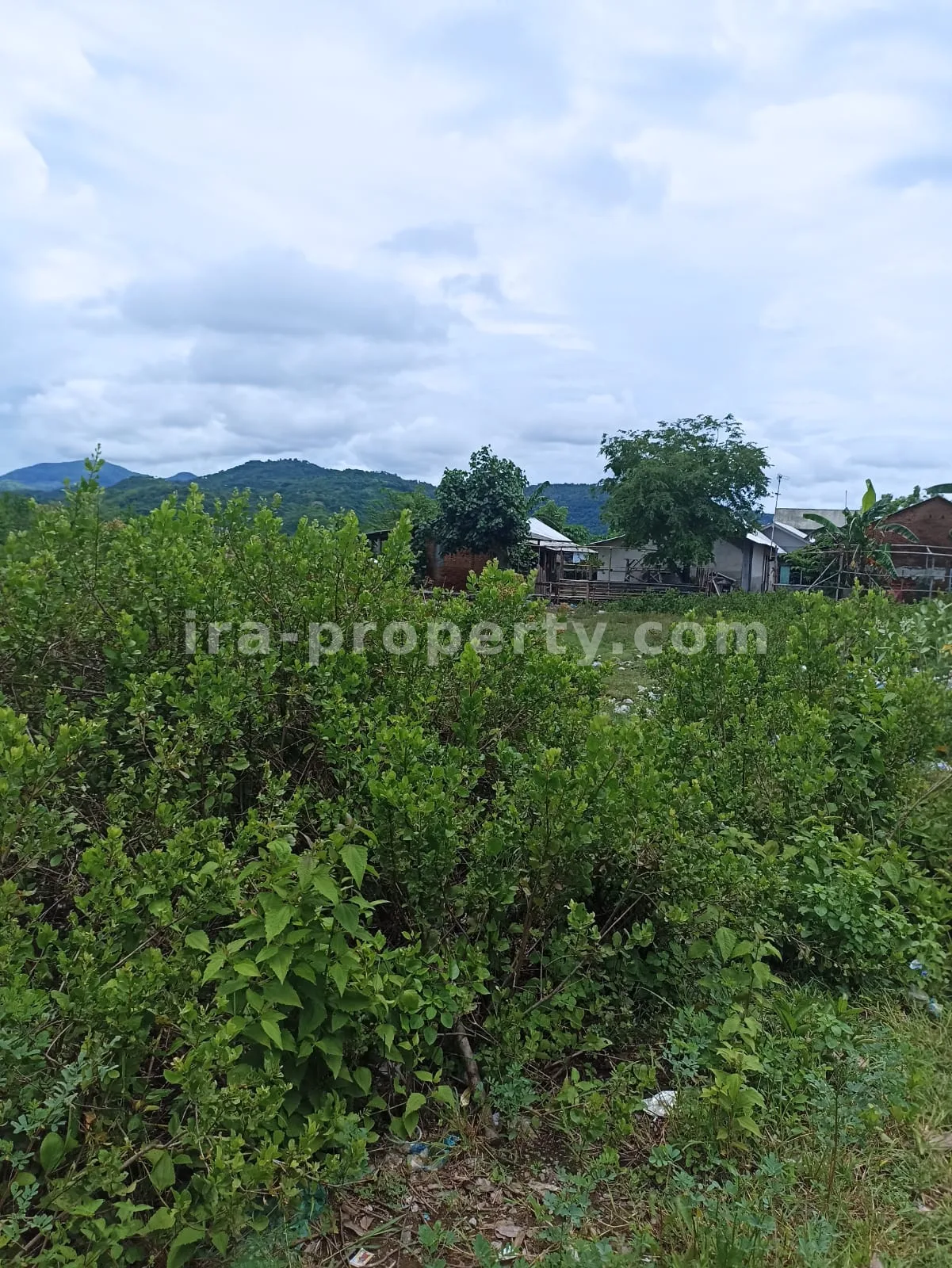 Tanah Strategis Pinggir Jalan di Sekotong \u2013 3.390 m\u00b2 - 175 - 2