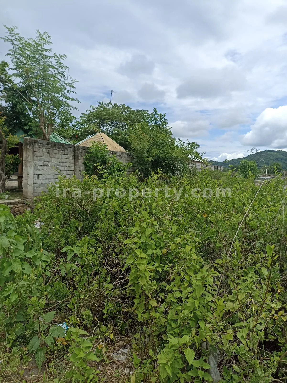 Tanah Strategis Pinggir Jalan di Sekotong \u2013 3.390 m\u00b2 - 175 - 3
