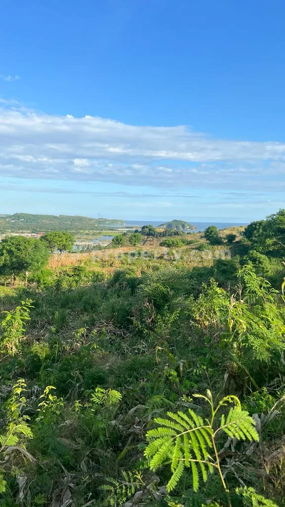 Super Premium Land with Sea and Kuta Mandalika Circuit Views - 325-2 - 8