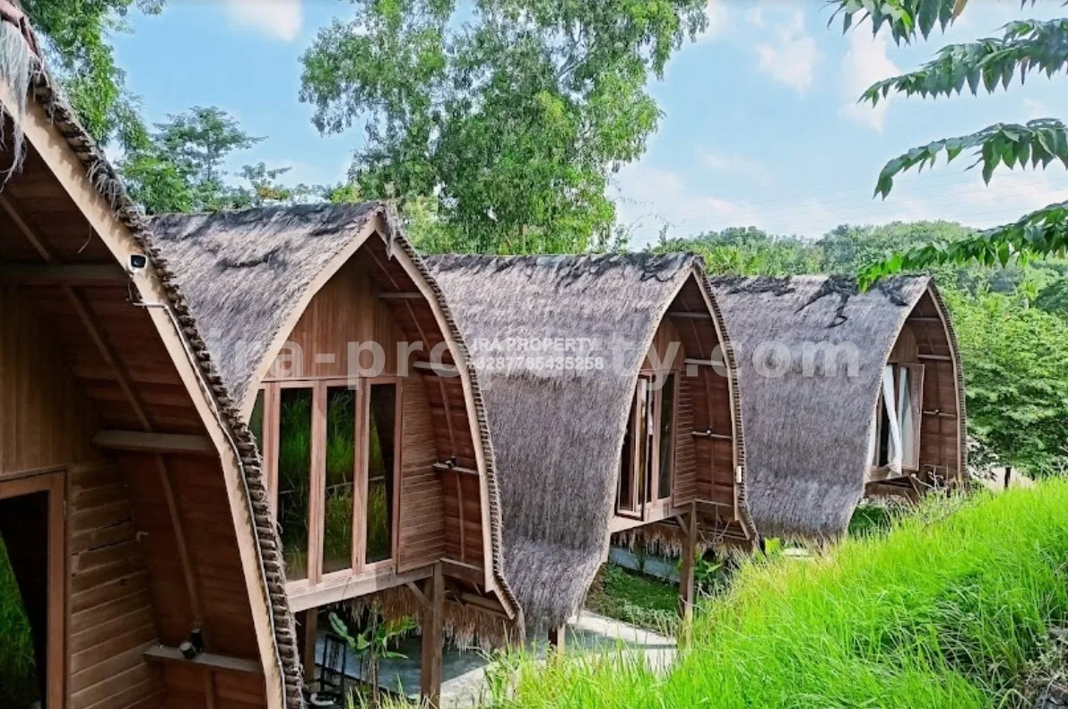 Bungalow Bertema Tropis di Kuta Mandalika, Lombok - 342 - 8