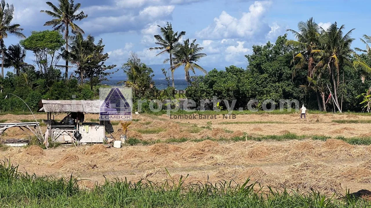 Beachfront Land for Sale in Ketewel, Bali - 73 - 4