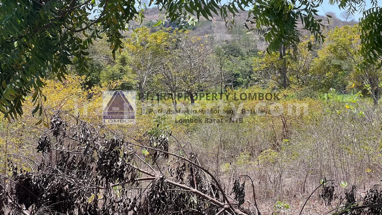 Beachfront Land in Bumbang, near Kuta Mandalika - 473 - 4