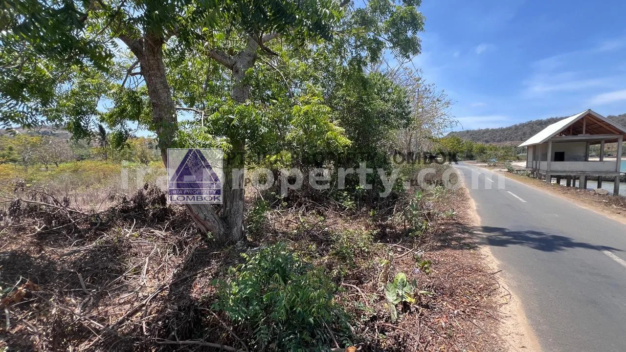 Beachfront Land in Bumbang, near Kuta Mandalika - 473 - 5