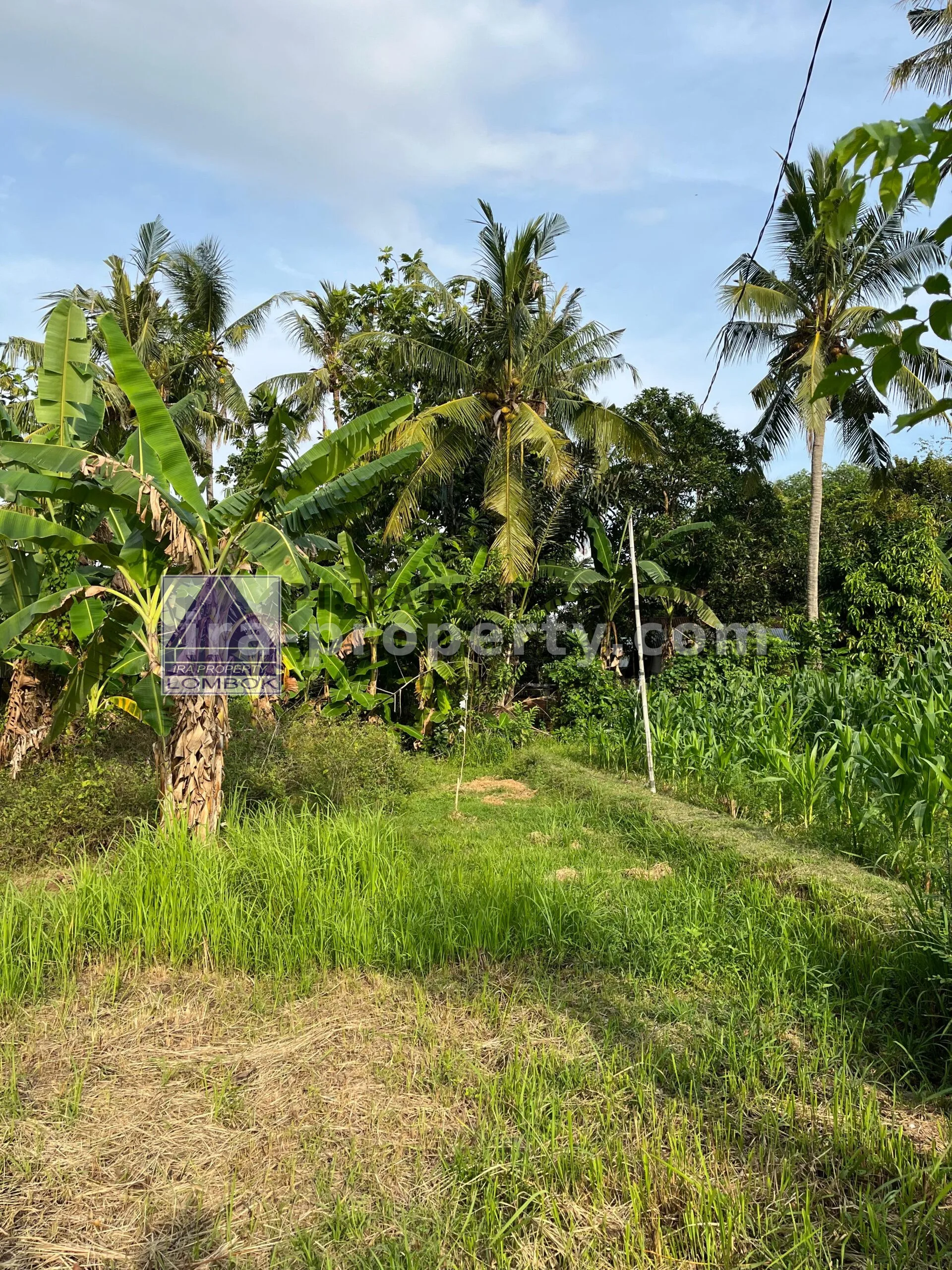Tanah Dijual di Mapak Kuranji dekat Mataram - 467 - 6