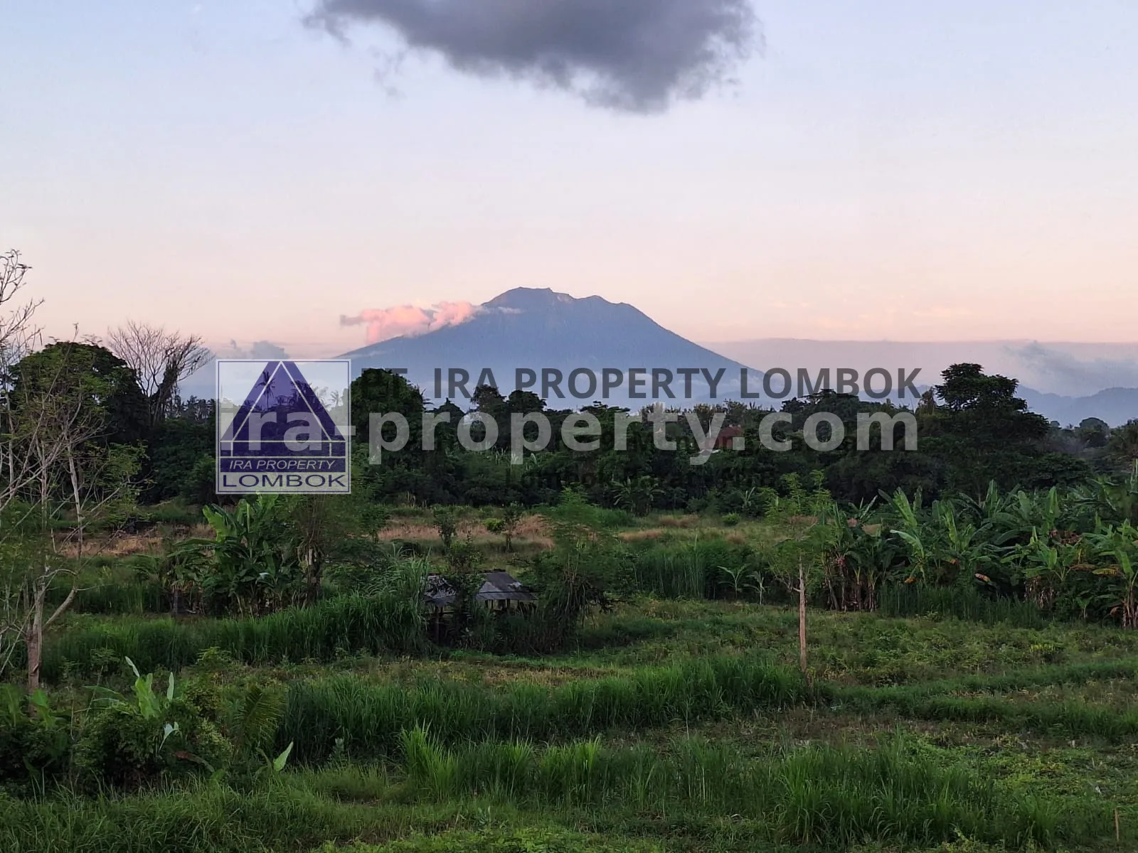 Mountain and Ocean View Land for Sale in Keramas, Bali