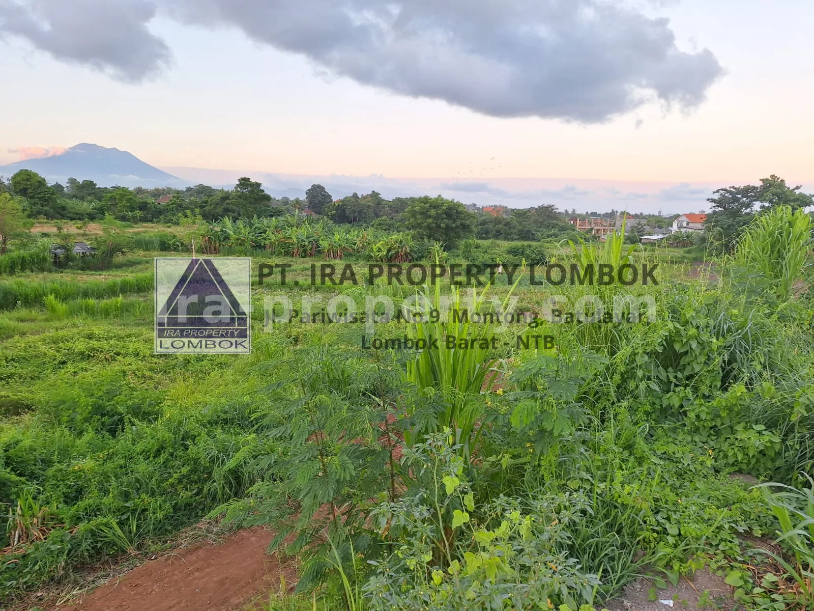 Mountain and Ocean View Land for Sale in Keramas, Bali - 77 - 7