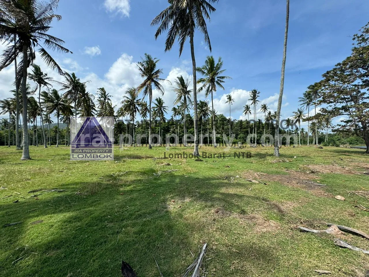Prime Beachfront Land at Balian Beach, Tabanan, Bali - 82-2 - 2