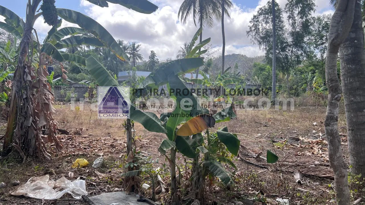 Tanah Strategis di Pusat Kuta Mandalika - 476 - 4