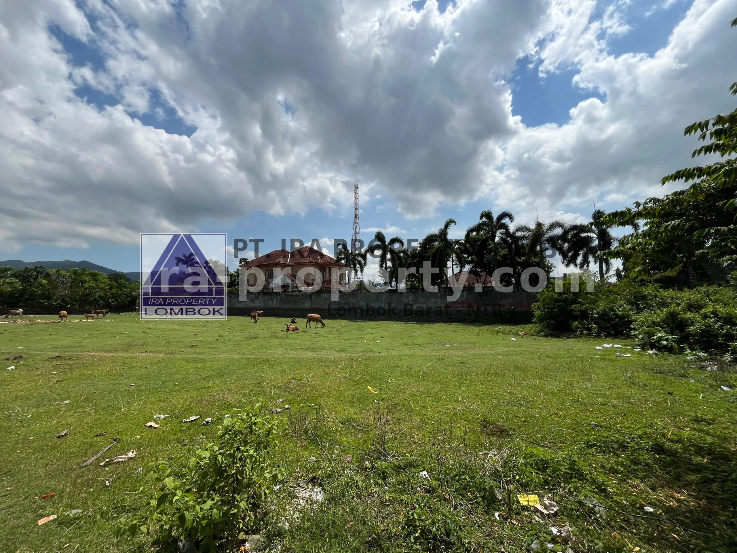 Tanah Strategis Pinggir Jalan di Sandik, Lombok Barat - 468 - 3