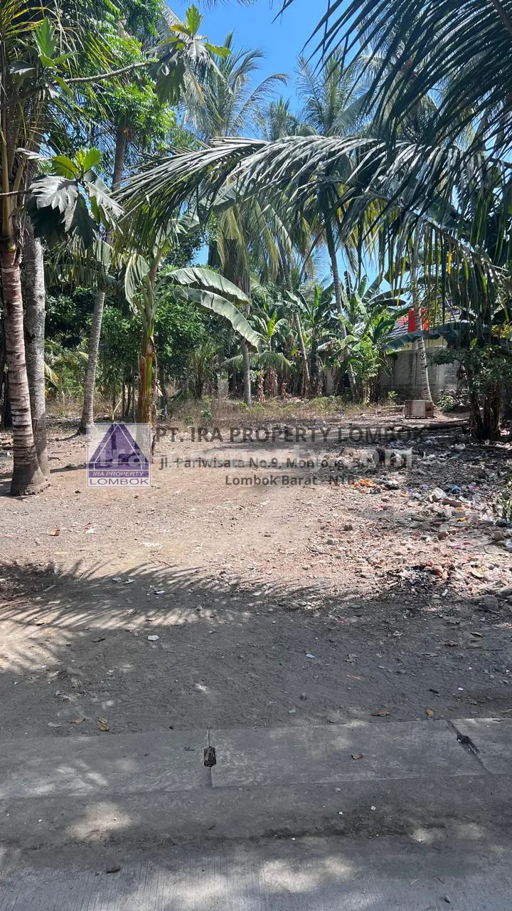 Strategic Land for Sale in Central Kuta Mandalika - 478 - 1