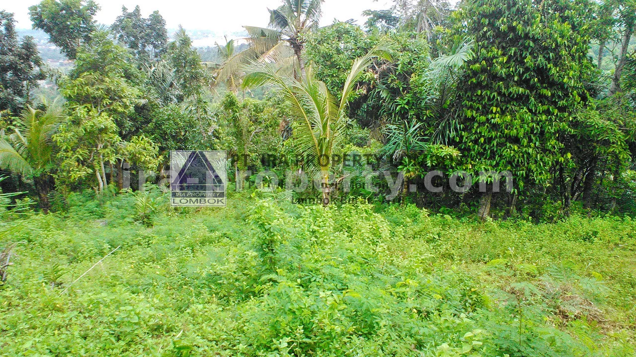 Scenic Land for Sale in Penyawangan - 368 - 3