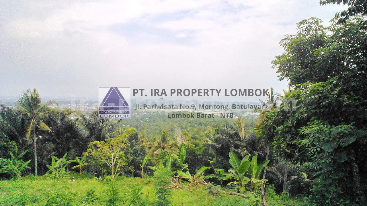 Scenic Land for Sale in Penyawangan - 368 - 5