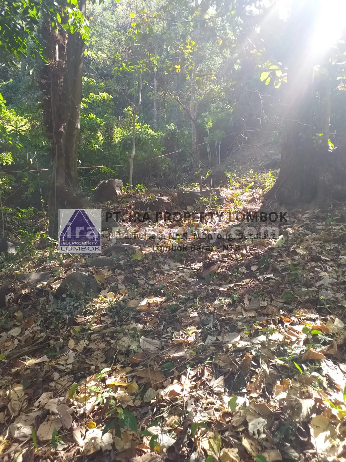 Tanah Strategis Dekat Kawasan Wisata Kerandangan Senggigi - 369 - 2