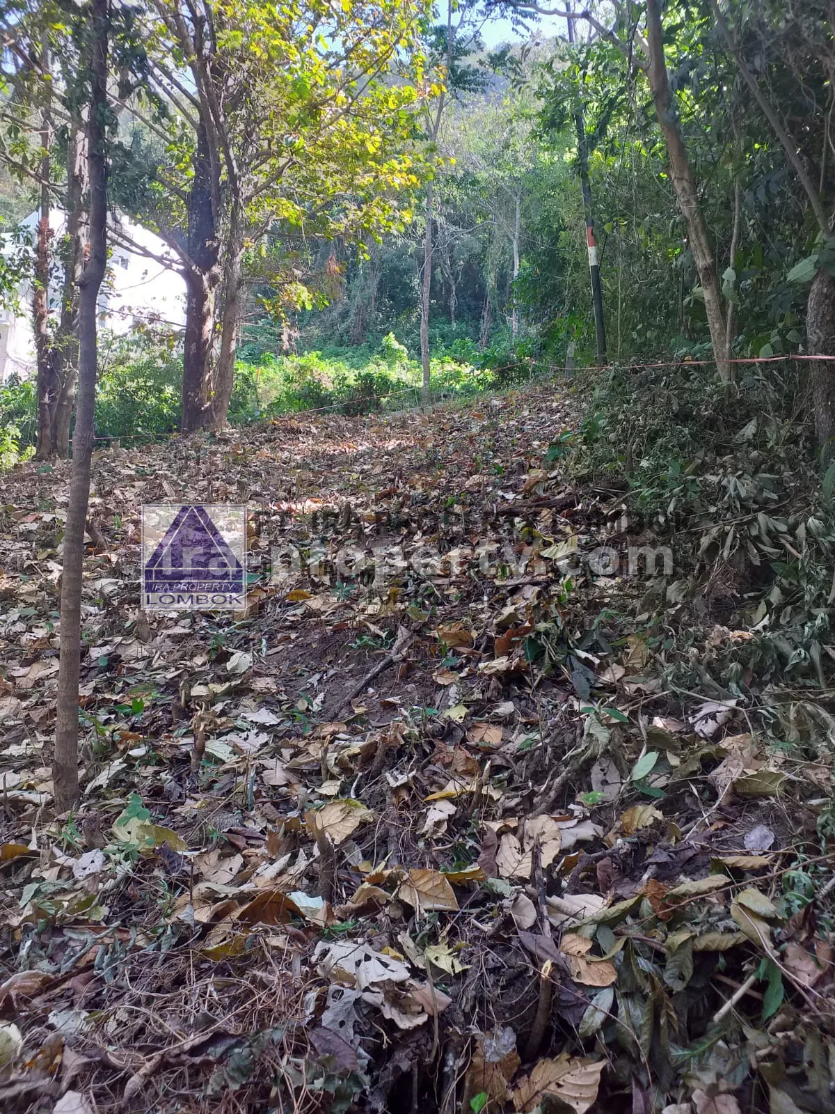 Tanah Strategis Dekat Kawasan Wisata Kerandangan Senggigi - 369 - 3