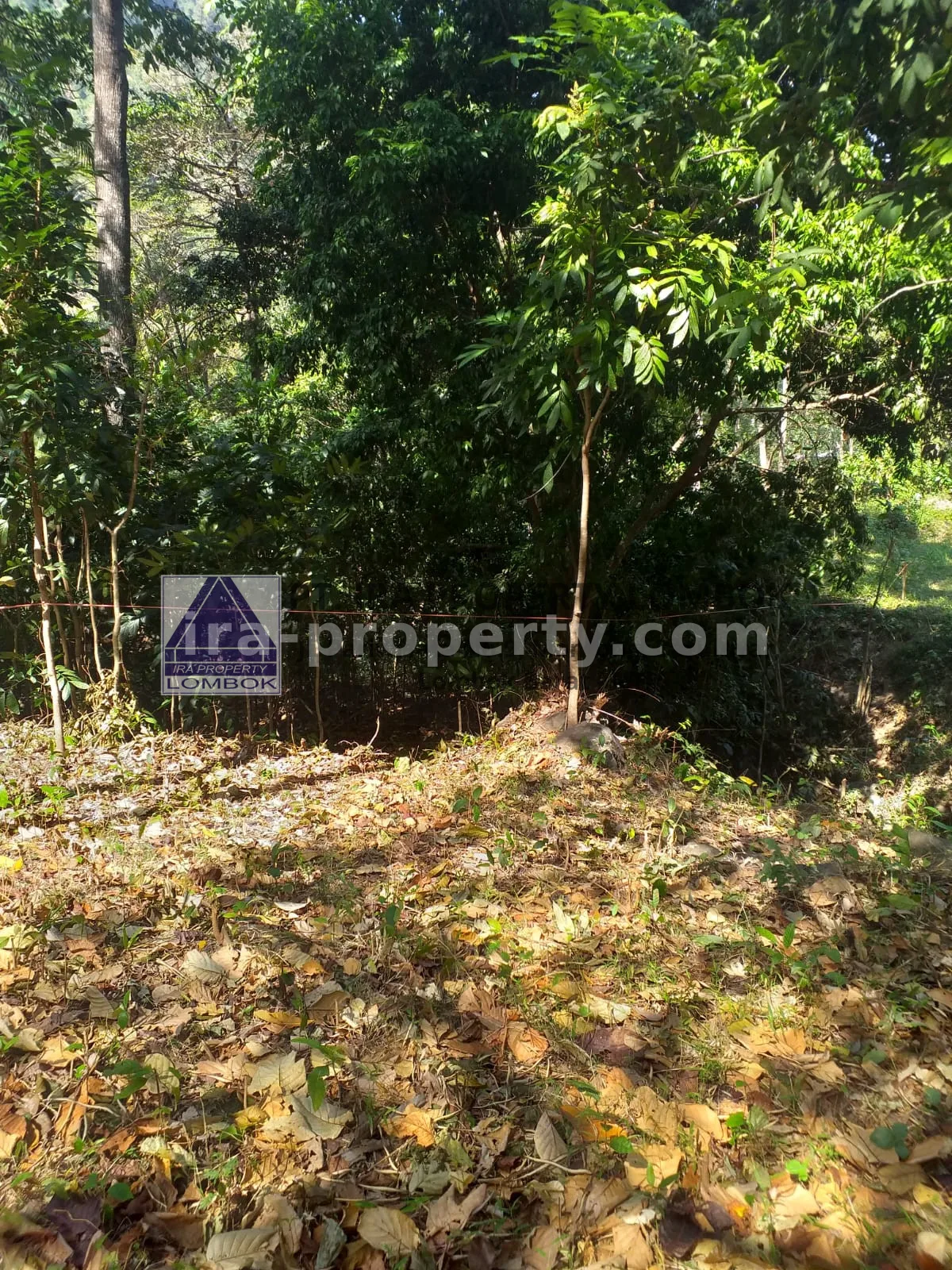 Tanah Strategis Dekat Kawasan Wisata Kerandangan Senggigi - 369 - 4