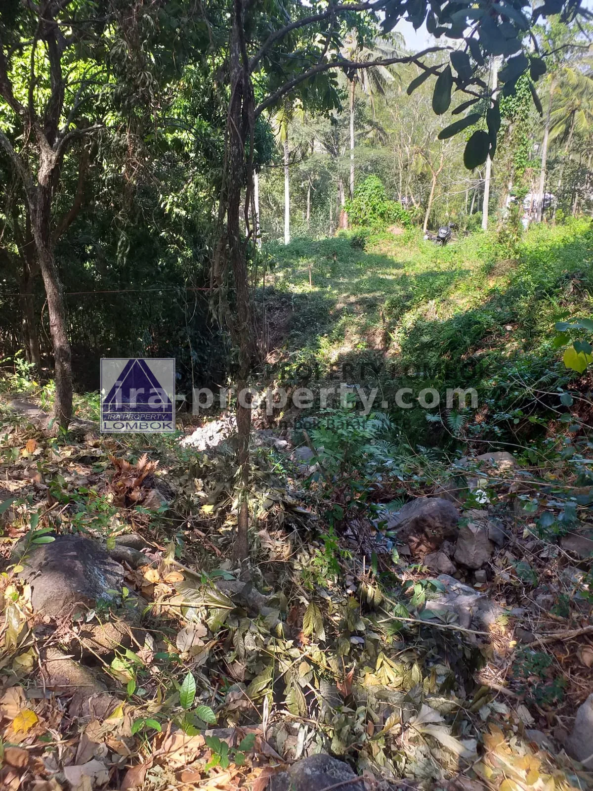 Tanah Strategis Dekat Kawasan Wisata Kerandangan Senggigi - 369 - 5