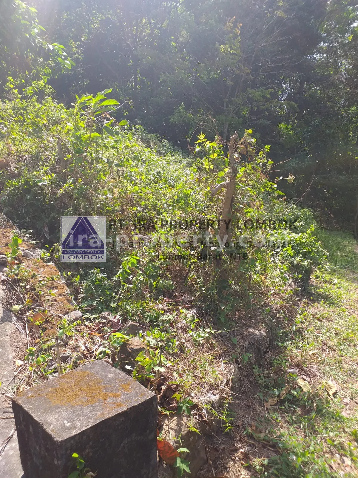 Tanah Strategis Dekat Kawasan Wisata Kerandangan Senggigi - 369 - 8