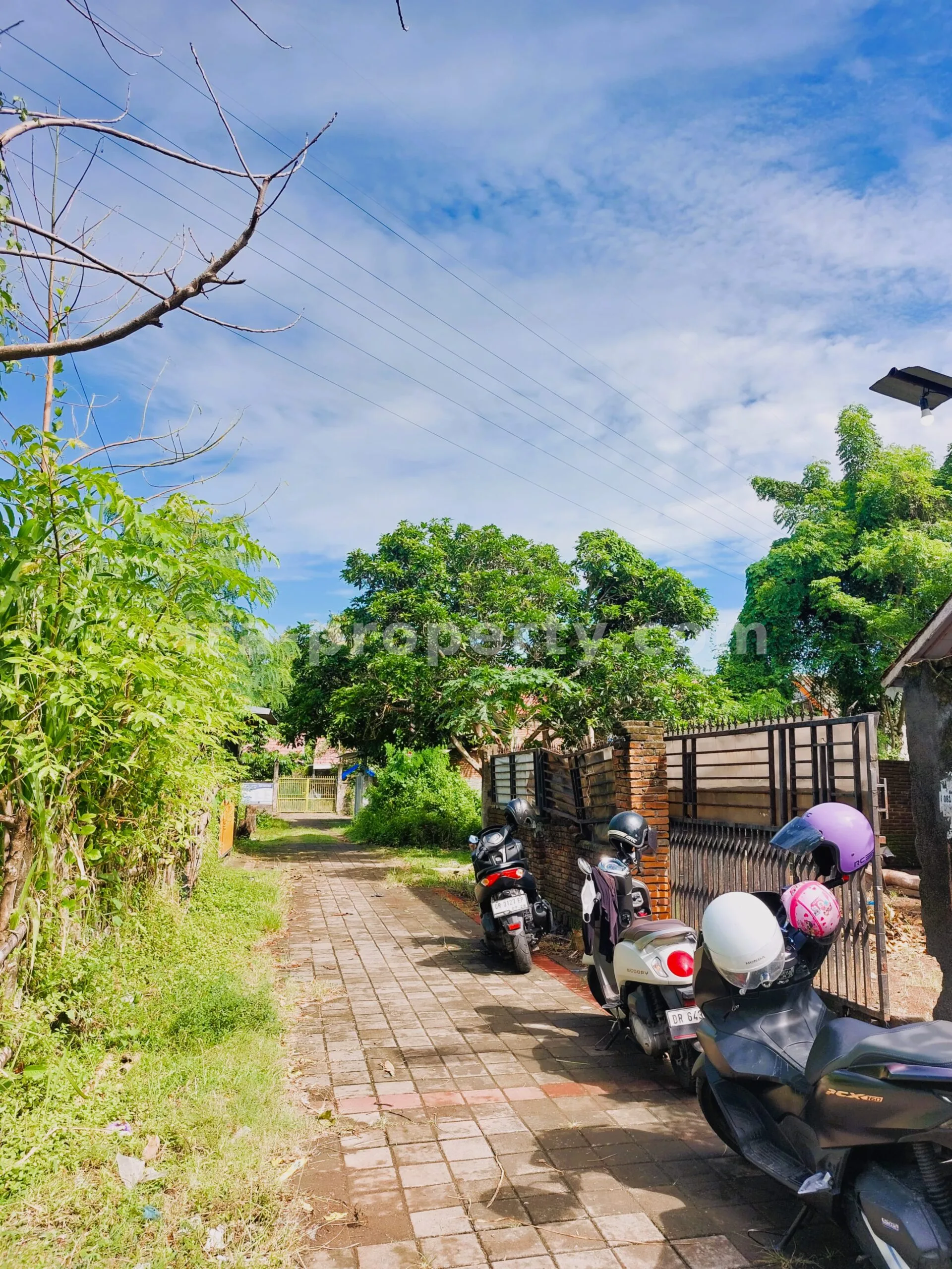 House for Sale in Ireng Jatisela, West Lombok - 658 - 13