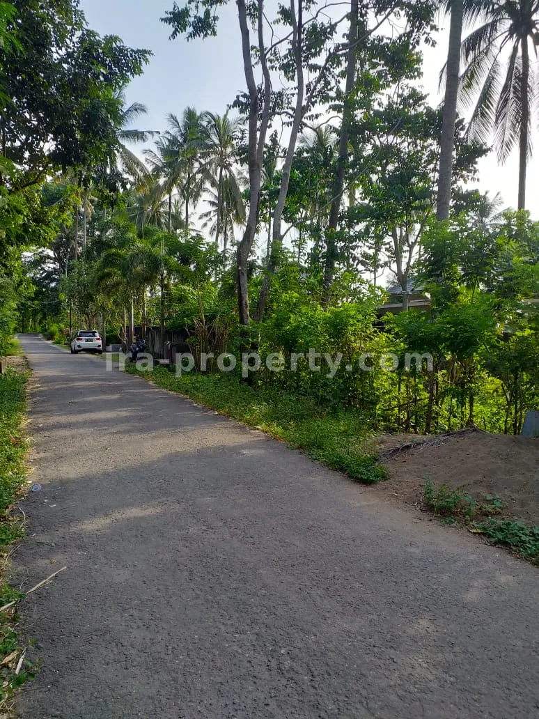 Tanah Dijual di Kerandangan Dekat Senggigi, Lombok Barat - 266 - 2