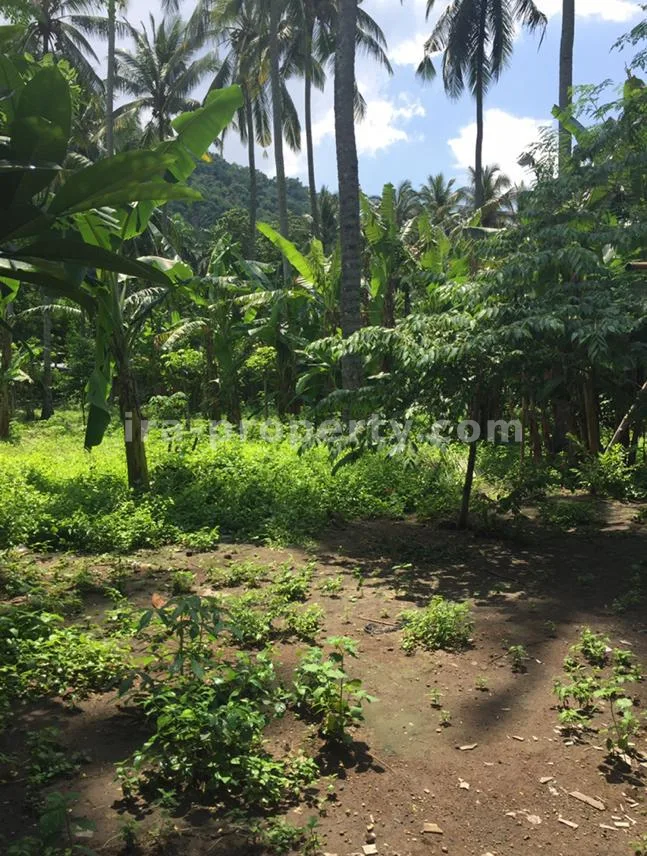 Tanah Dijual di Kerandangan Dekat Senggigi, Lombok Barat - 266 - 3