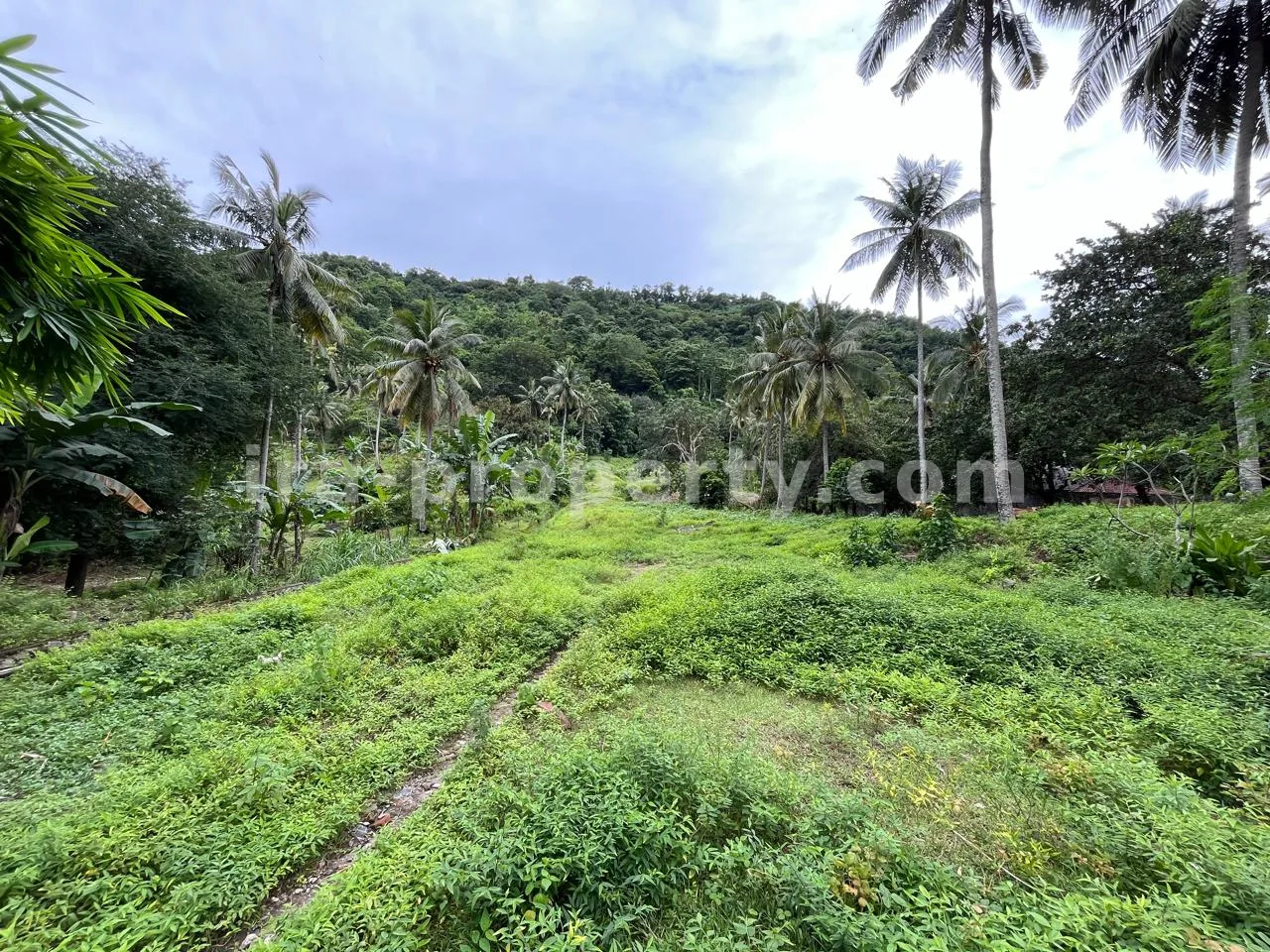Land for Sale in Kerandangan near Senggigi, West Lombok