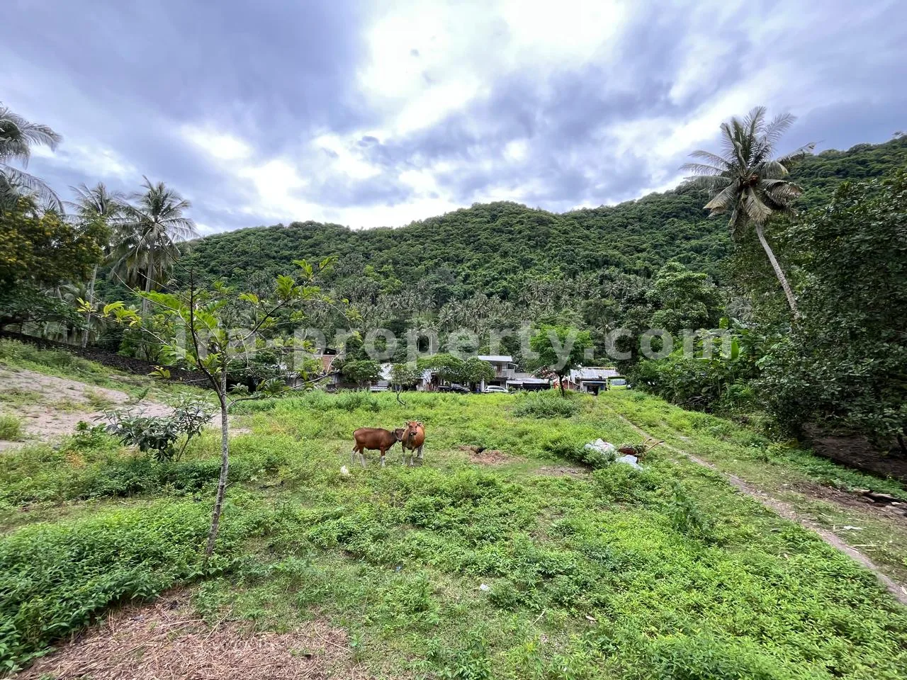Tanah Dijual di Kerandangan Dekat Senggigi, Lombok Barat - 371 - 2