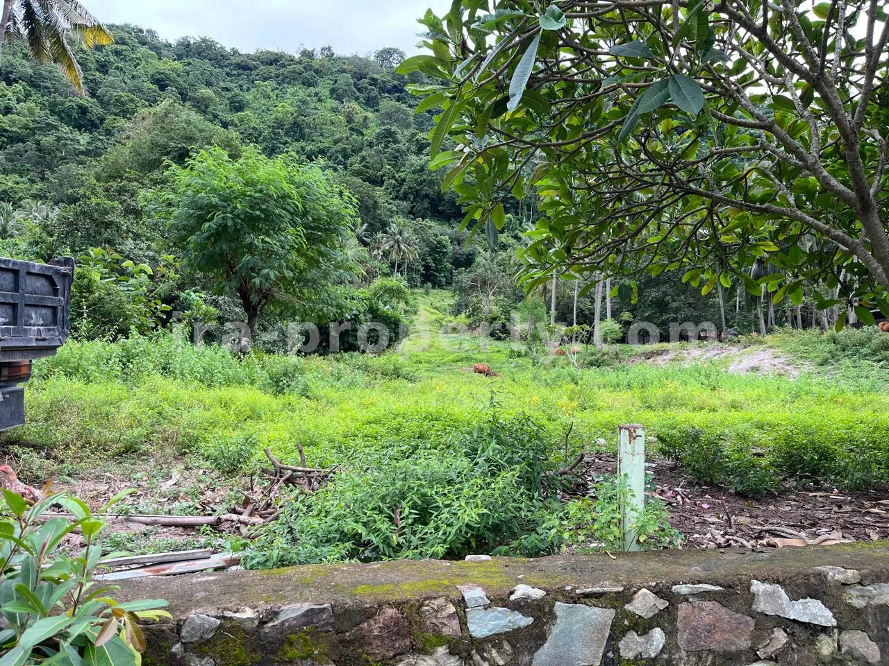 Tanah Dijual di Kerandangan Dekat Senggigi, Lombok Barat - 371 - 3