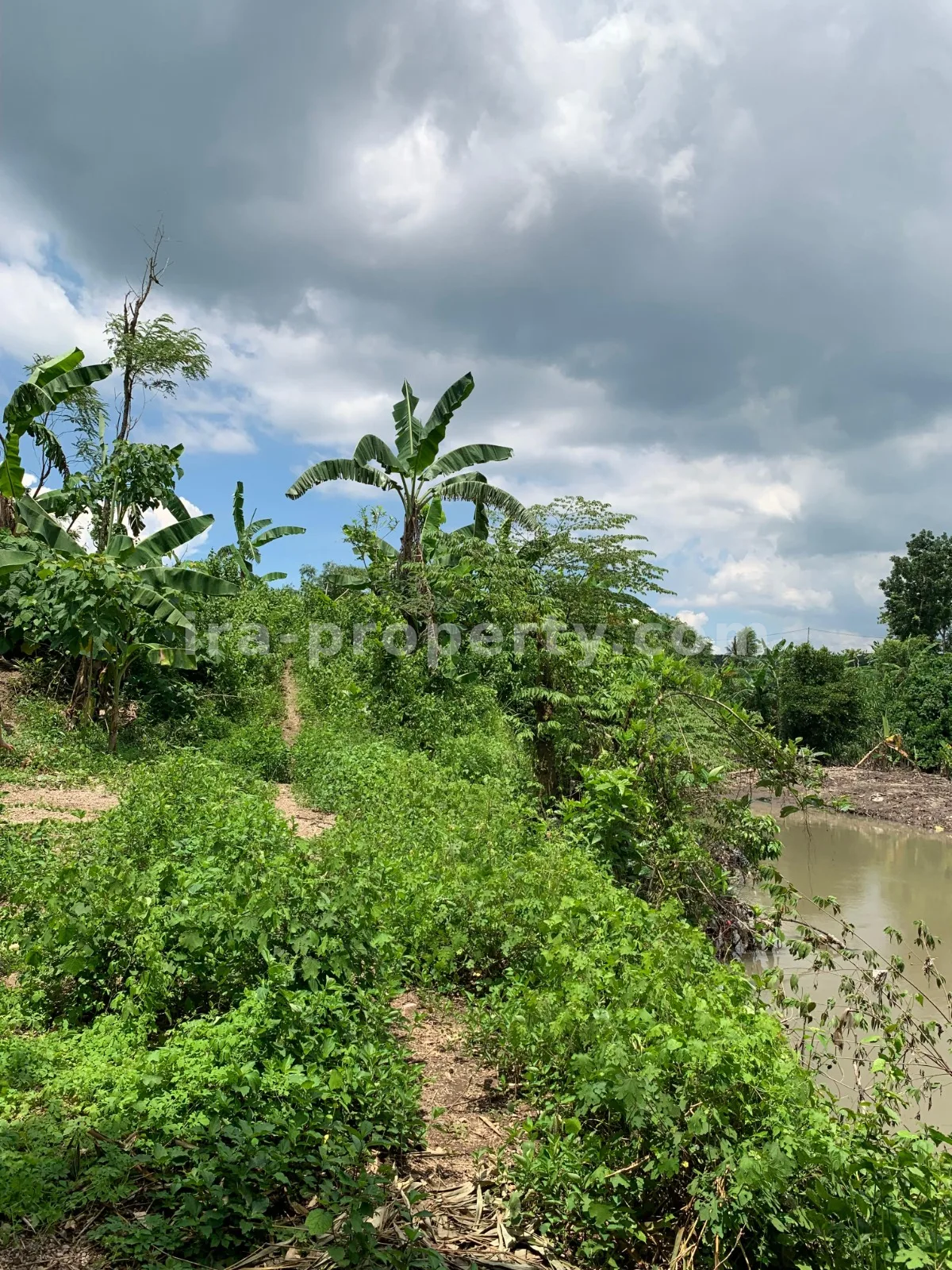 Land for Sale in Labulia, Near the Lombok Airport Bypass, Central Lombok - 87 - 2