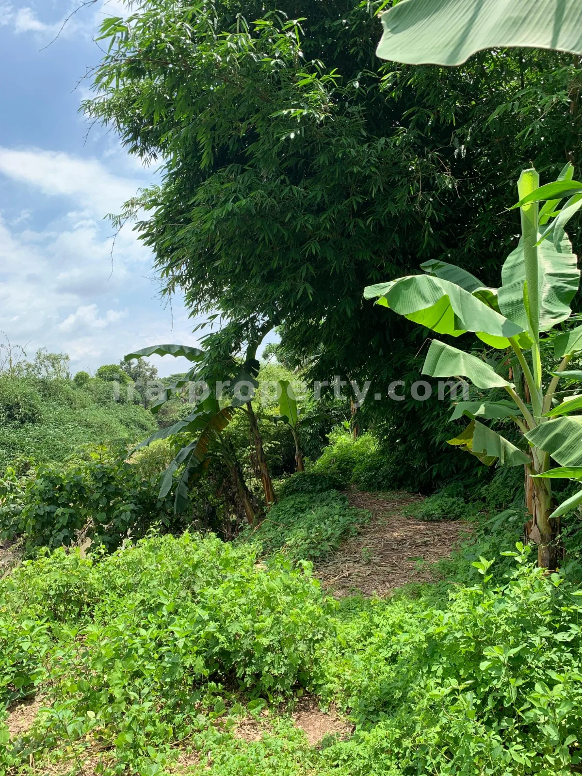 Land for Sale in Labulia, Near the Lombok Airport Bypass, Central Lombok - 87 - 3