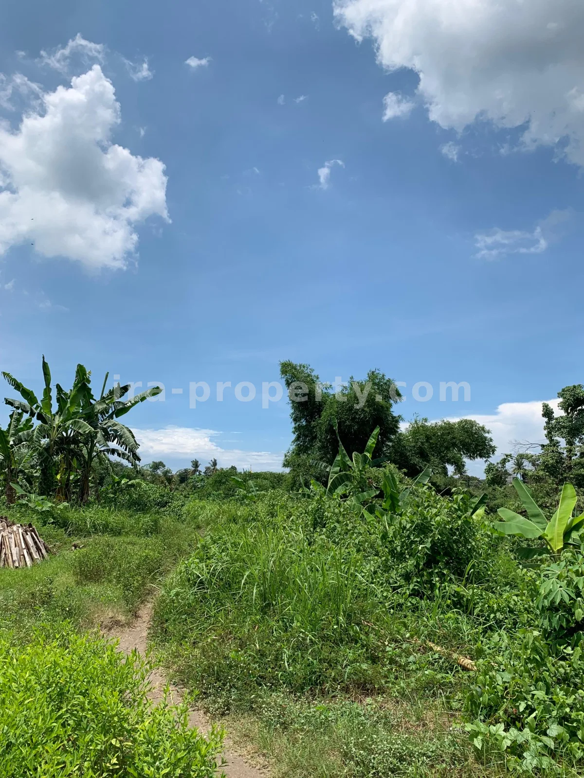 Land for Sale in Labulia, Near the Lombok Airport Bypass, Central Lombok - 87 - 6