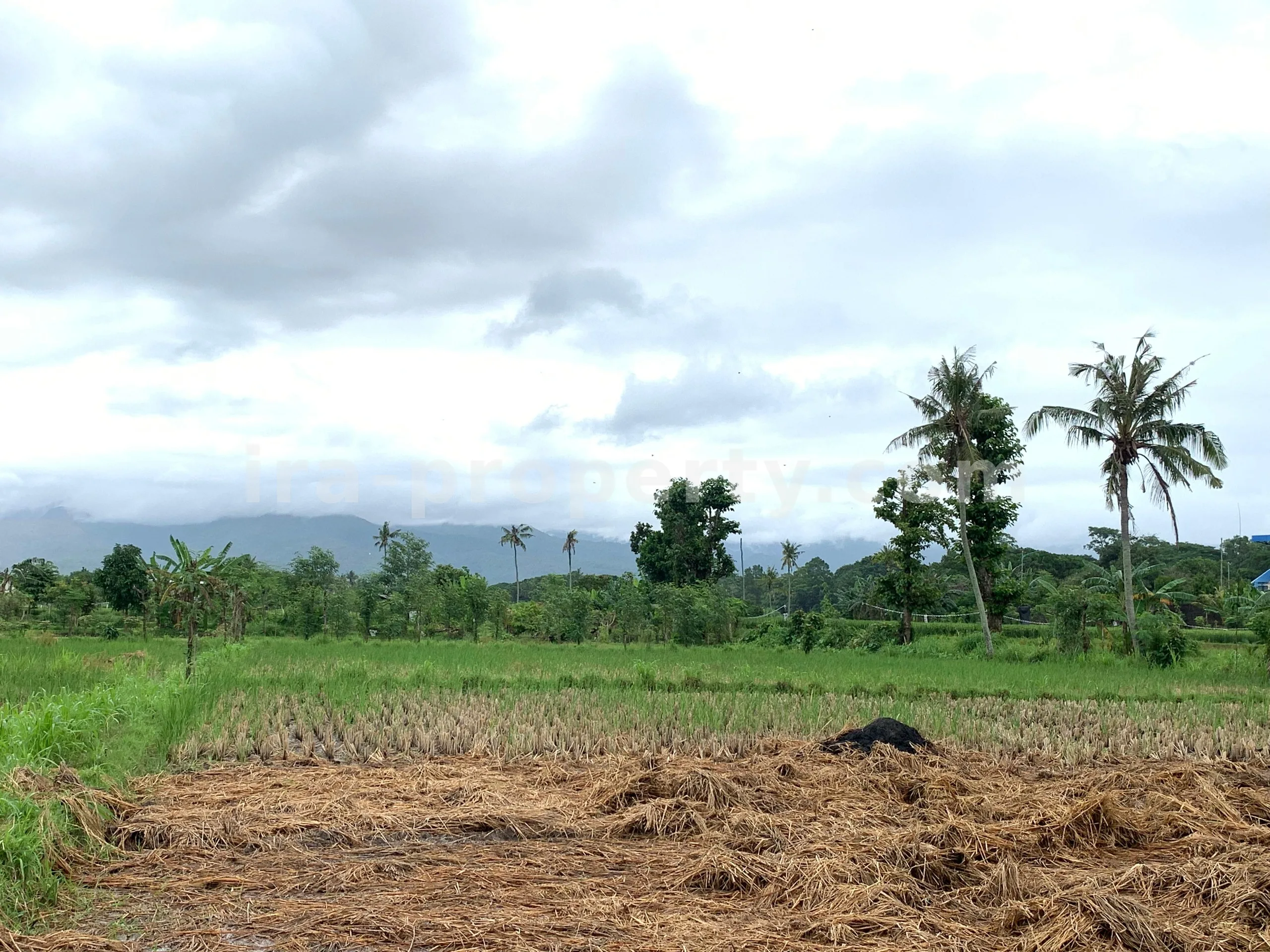 Tanah Dijual di Udayana, Kota Mataram - 493 - 1