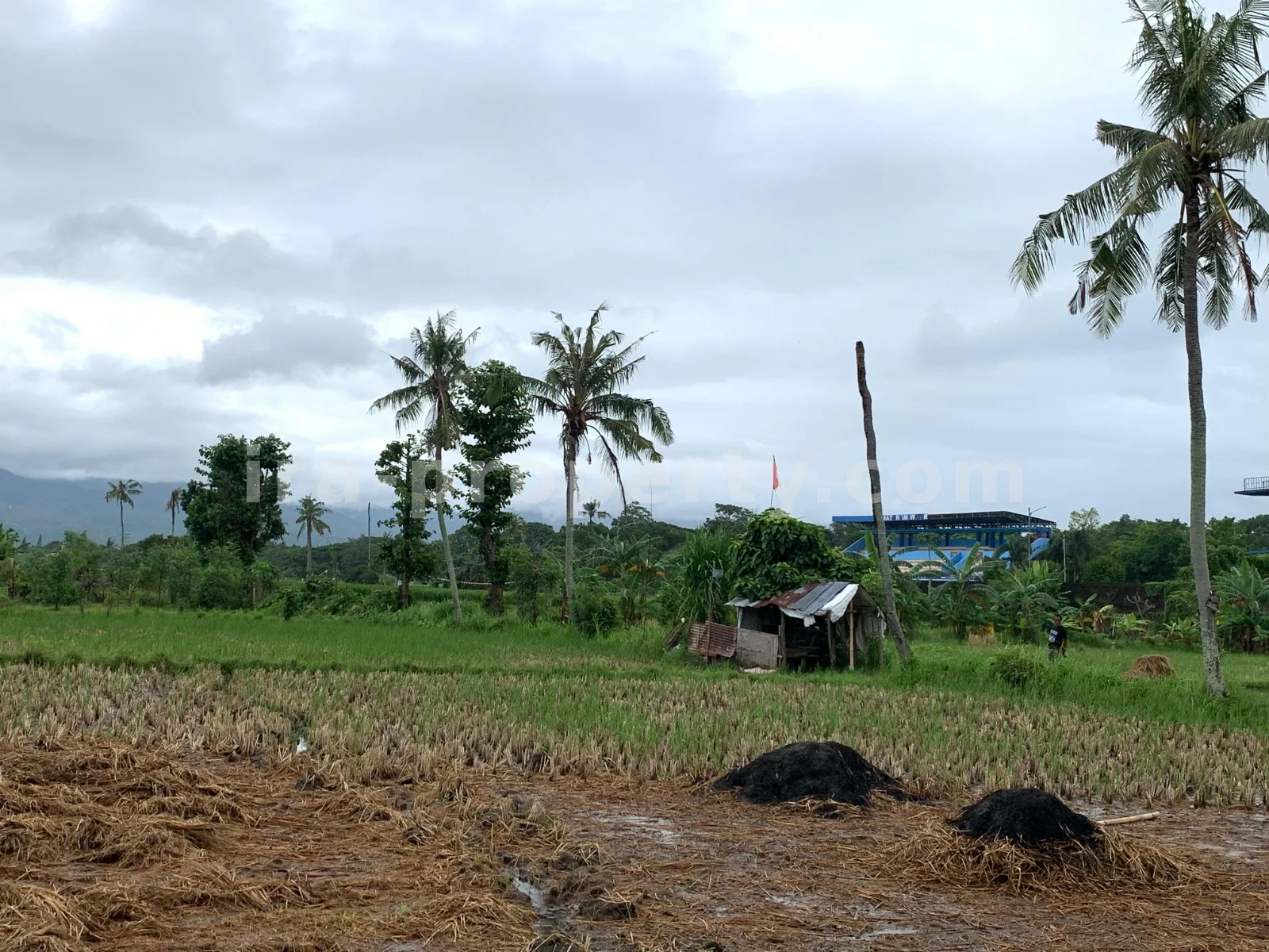 Tanah Dijual di Udayana, Kota Mataram - 493 - 4