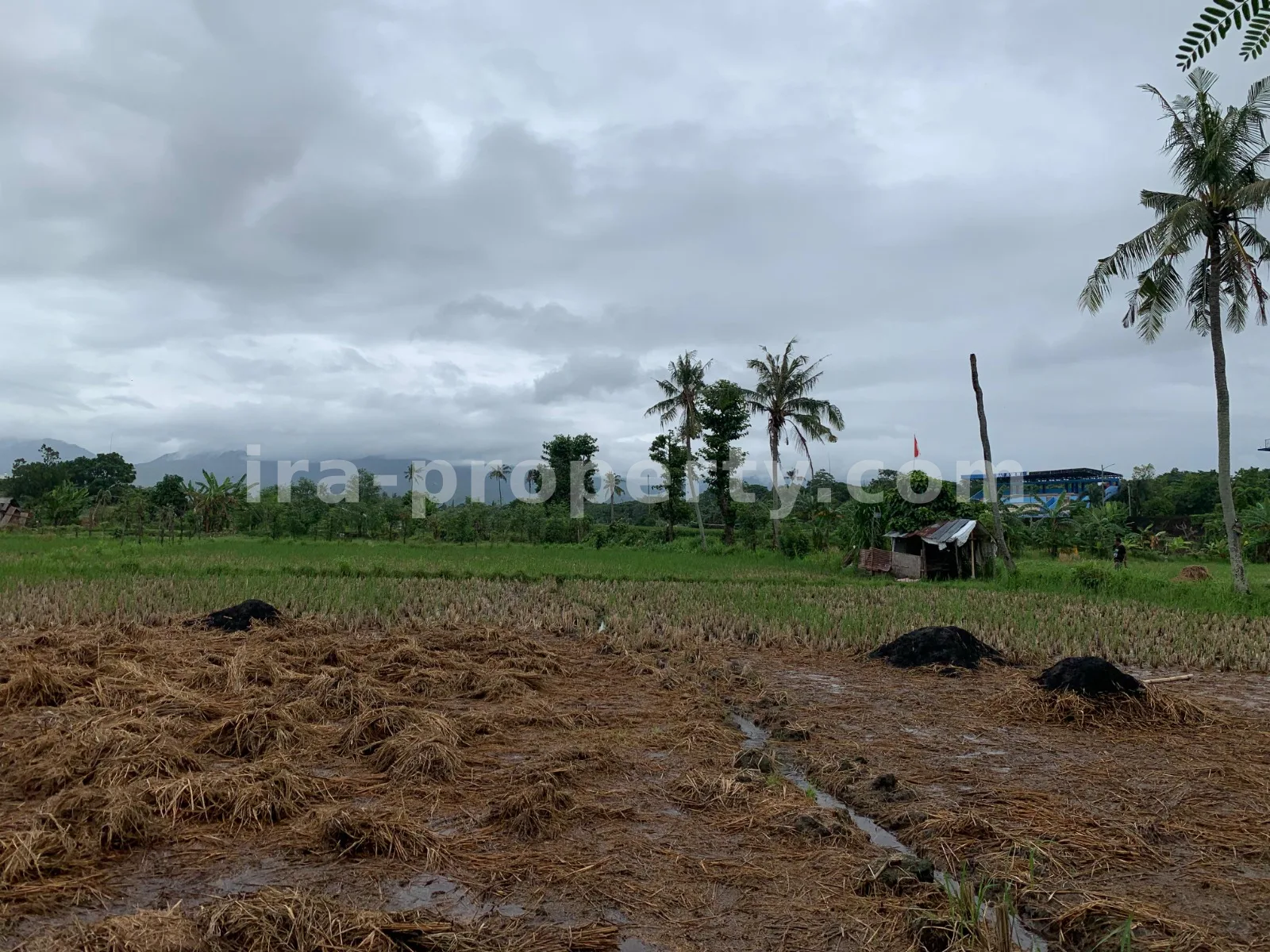 Tanah Dijual di Udayana, Kota Mataram - 493 - 5