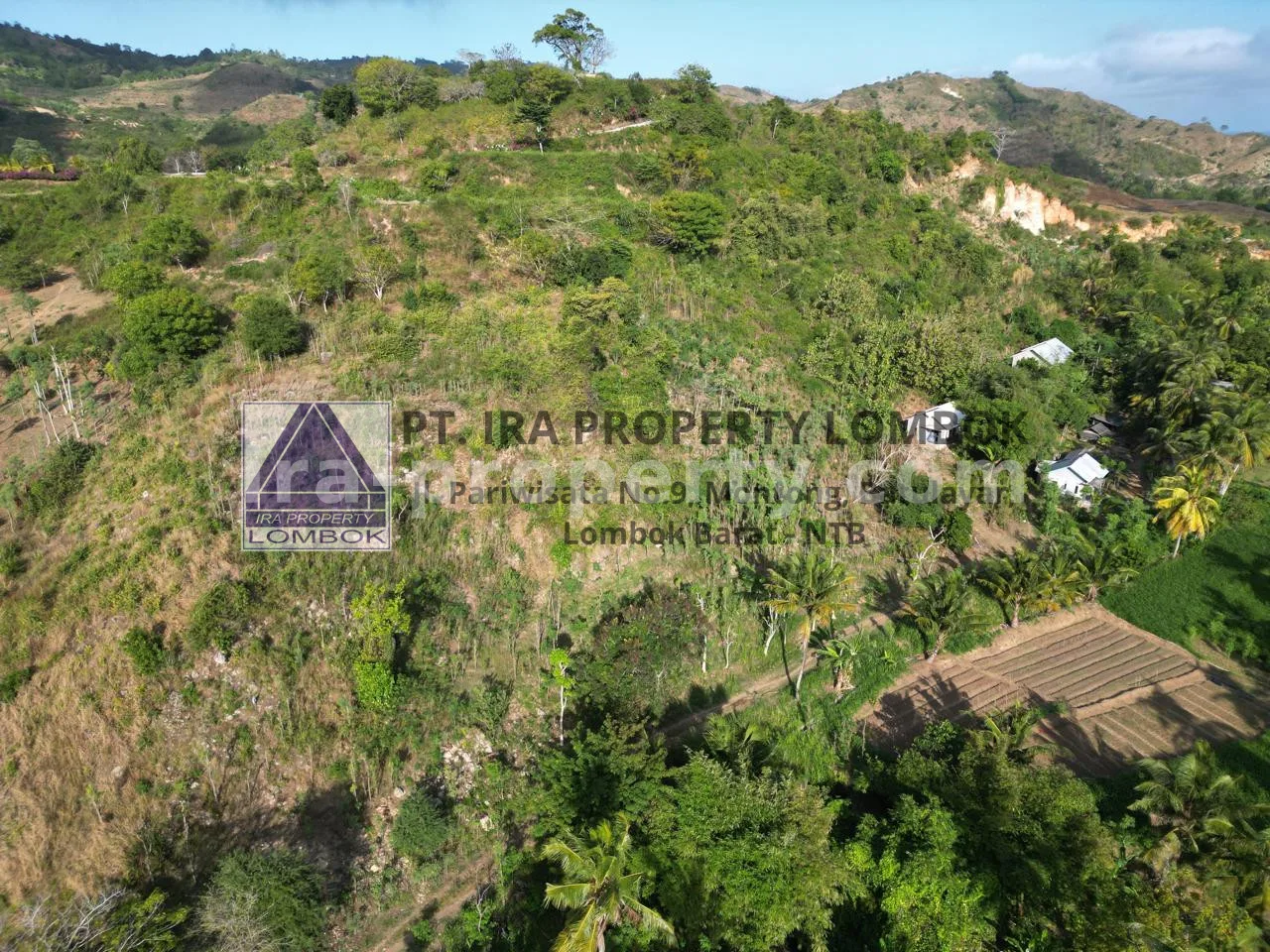 Ocean View Land for Sale in Prabu Areguling, Kuta Mandalika - 449-2 - 2