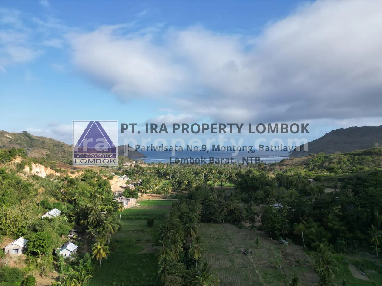 Ocean View Land for Sale in Prabu Areguling, Kuta Mandalika - 449-2 - 3