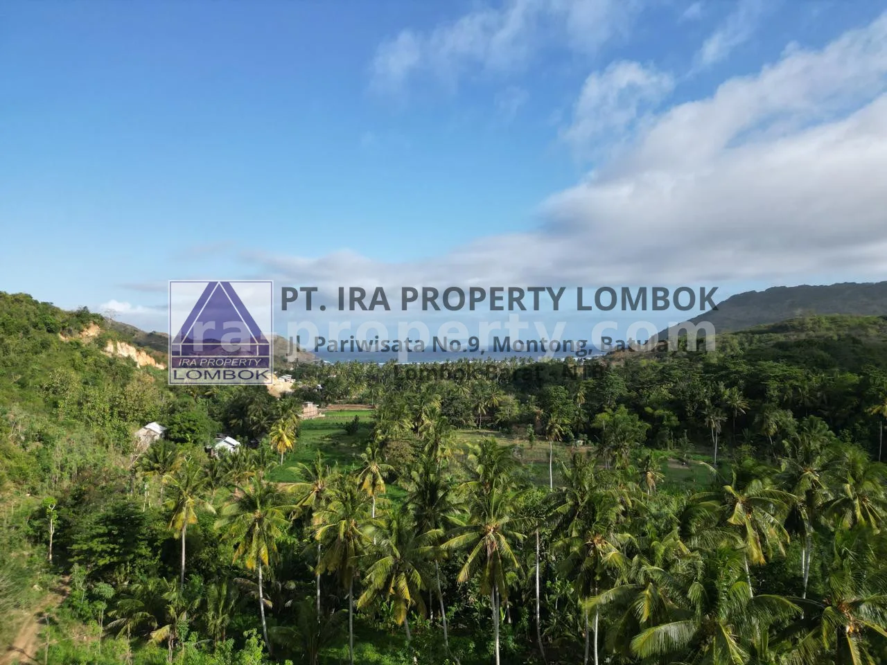 Ocean View Land for Sale in Prabu Areguling, Kuta Mandalika - 449-2 - 4