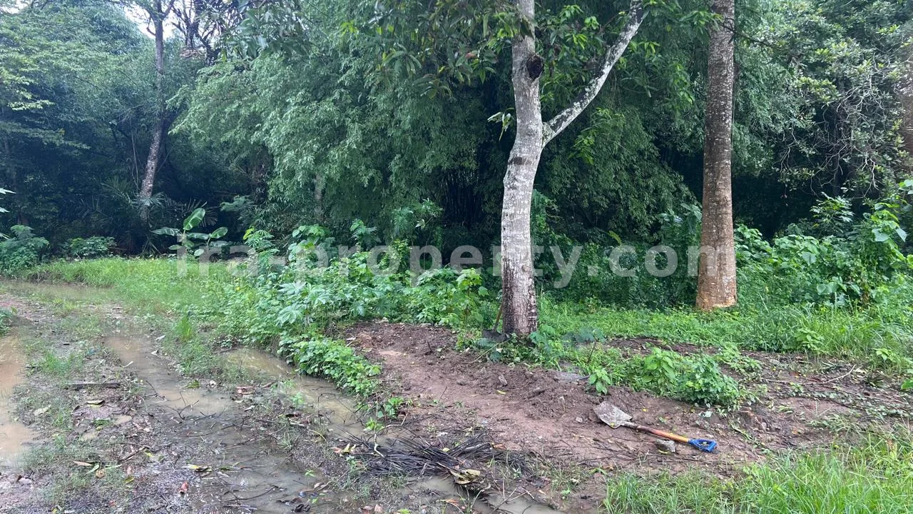 Strategic Land for Sale in Central Kuta, West Lombok - 484 - 1