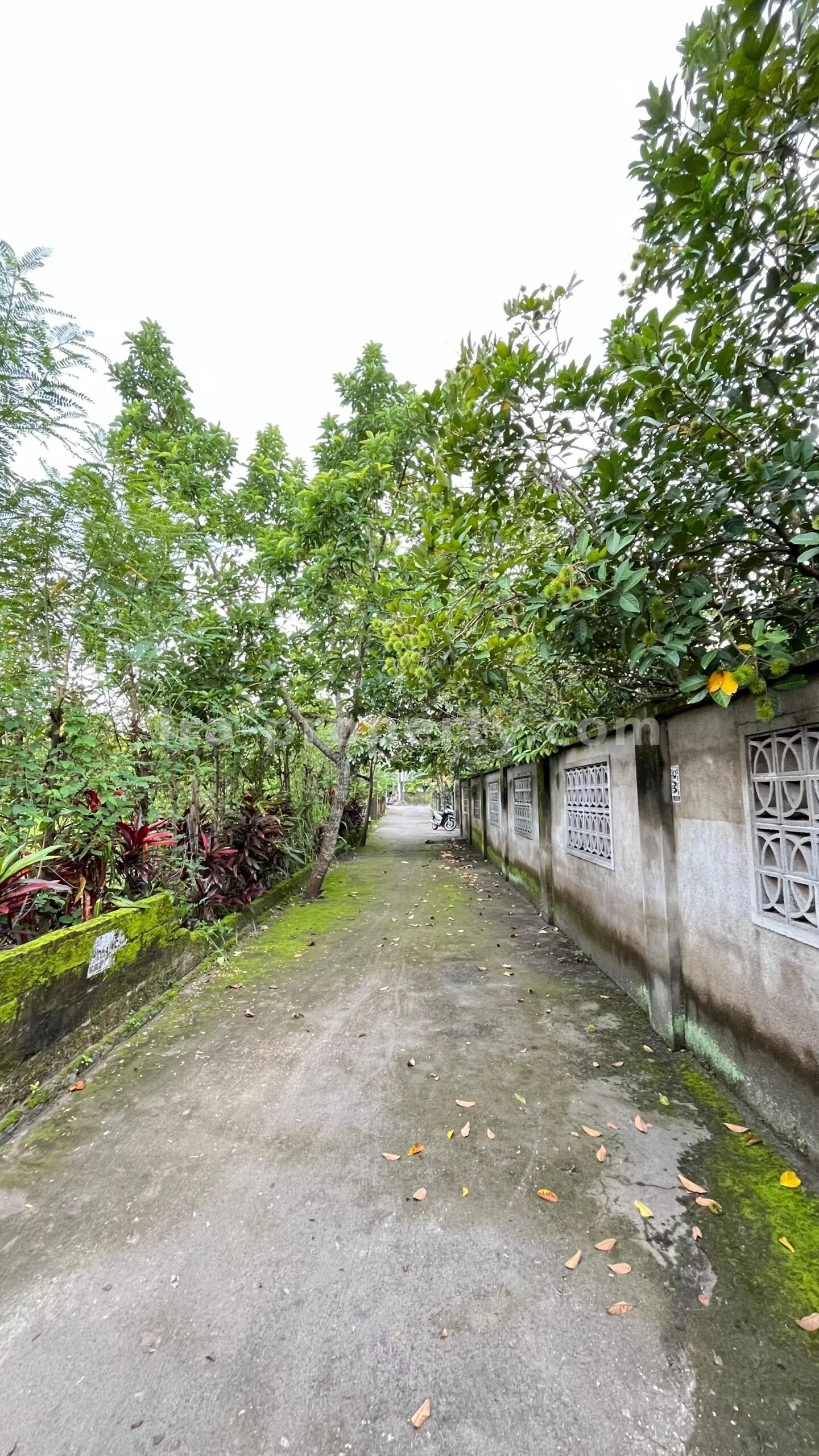 Villa Konsep Rumah Dijual di Kekeri, Lombok Barat - 657 - 2