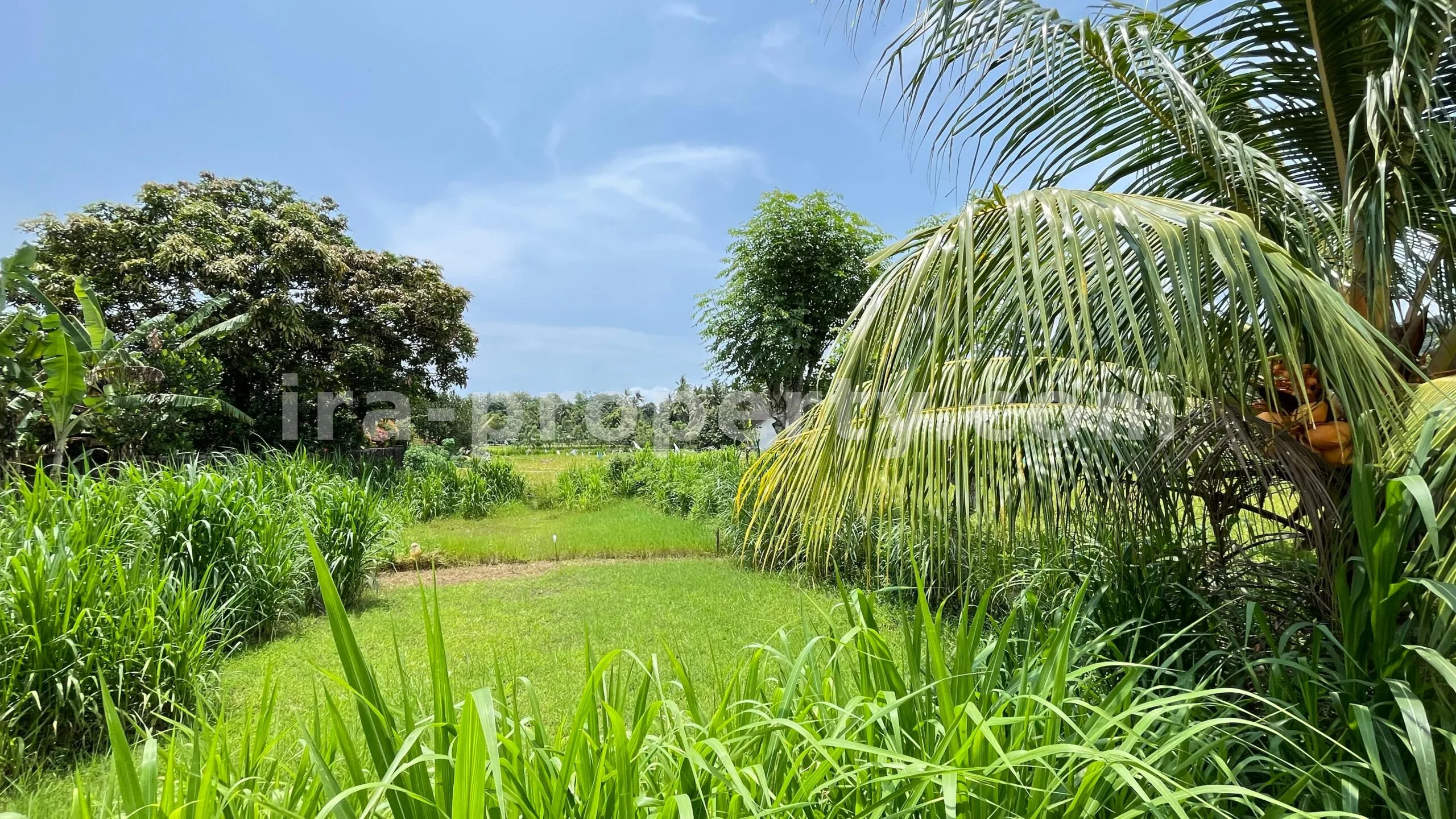 Tanah Dijual di Bale Solah, Sandik, Lombok Barat - 498-2 - 2