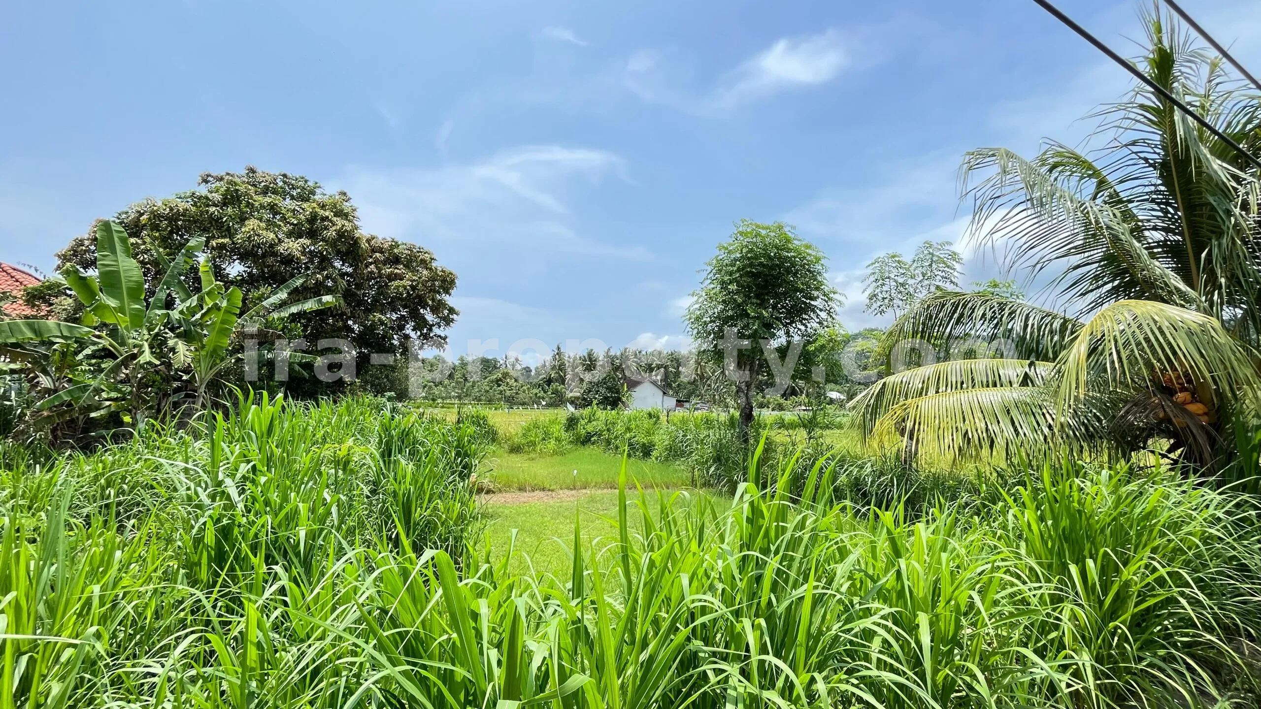 Tanah Dijual di Bale Solah, Sandik, Lombok Barat - 498-2 - 3