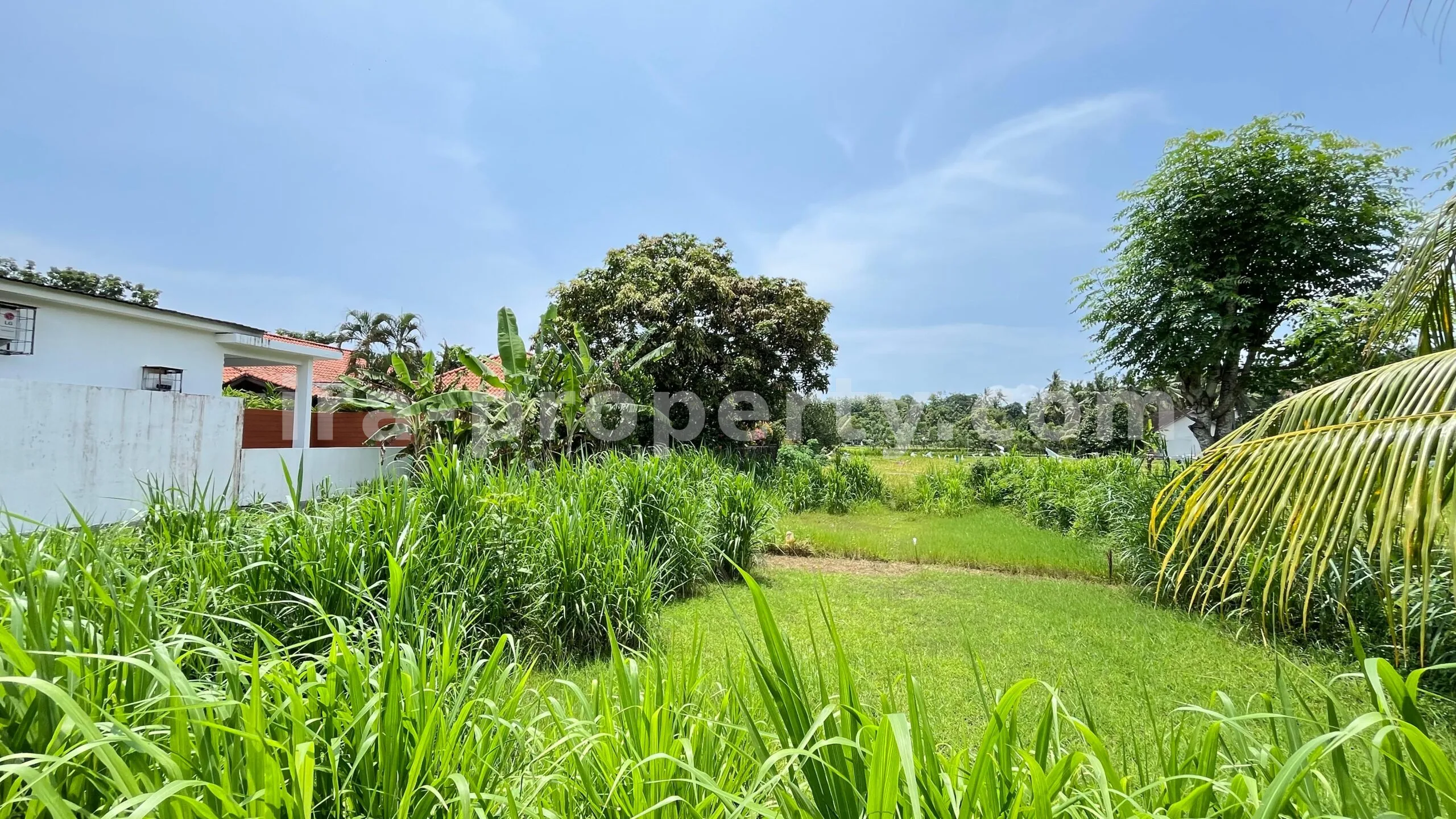 Tanah Dijual di Bale Solah, Sandik, Lombok Barat - 498-2 - 4