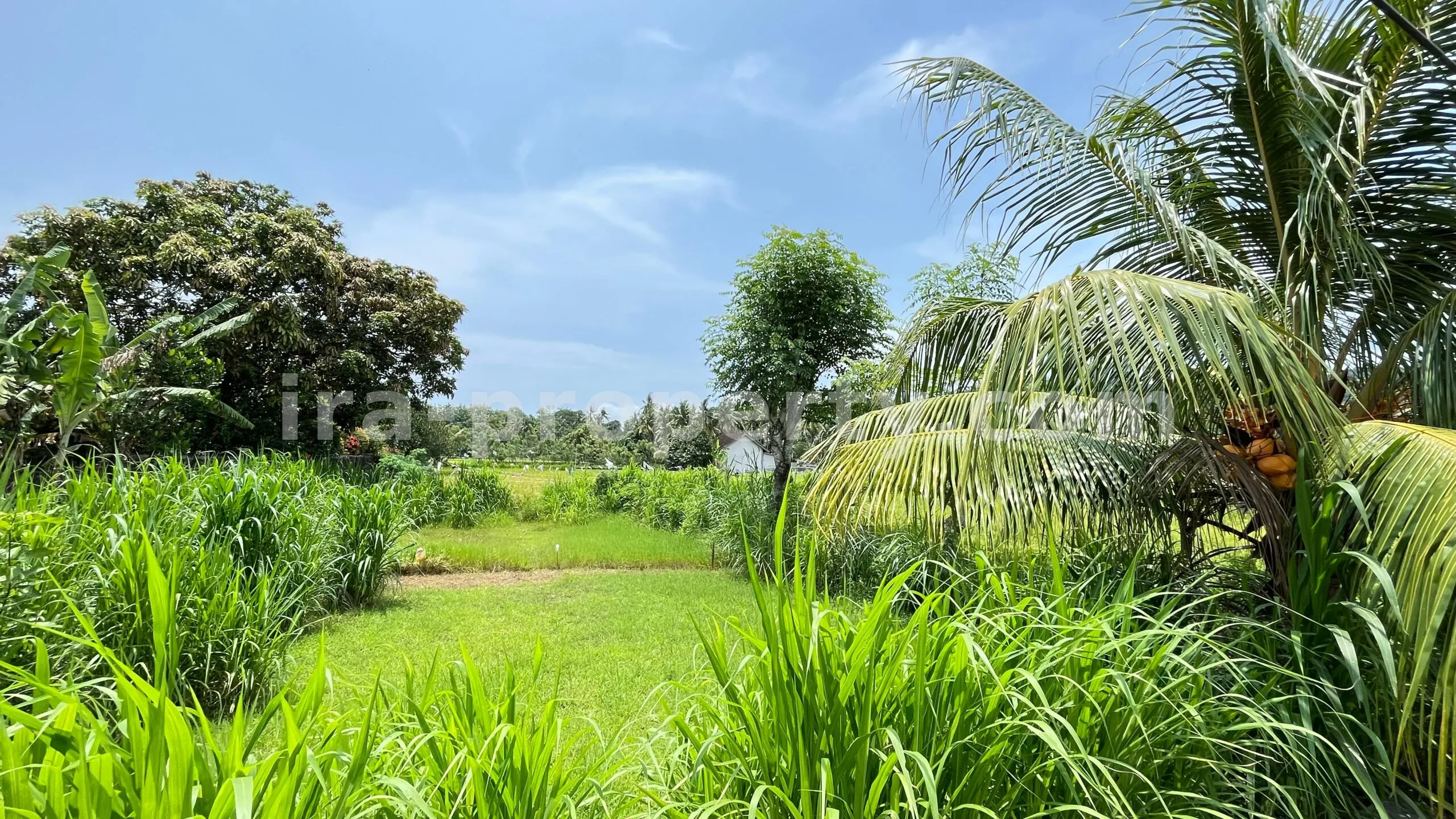 Tanah Dijual di Bale Solah, Sandik, Lombok Barat - 498-2 - 7