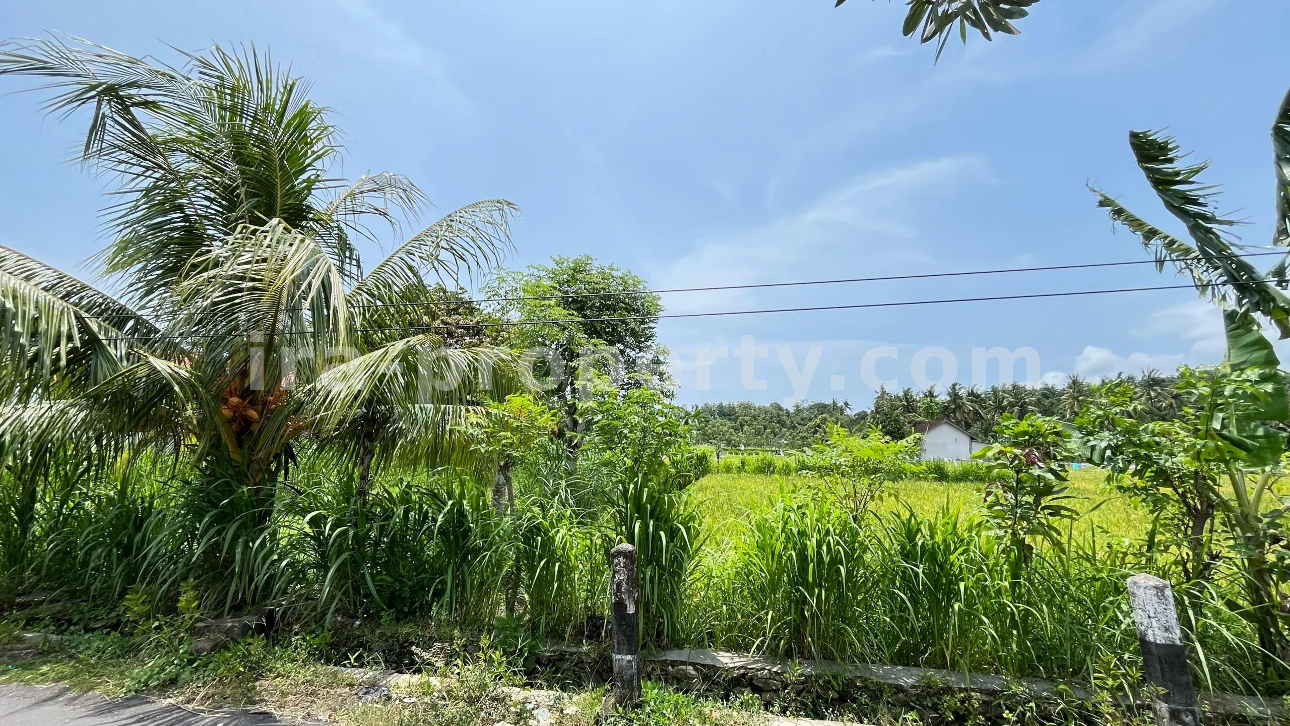 Tanah Dijual di Bale Solah, Sandik, Lombok Barat - 498-2 - 8
