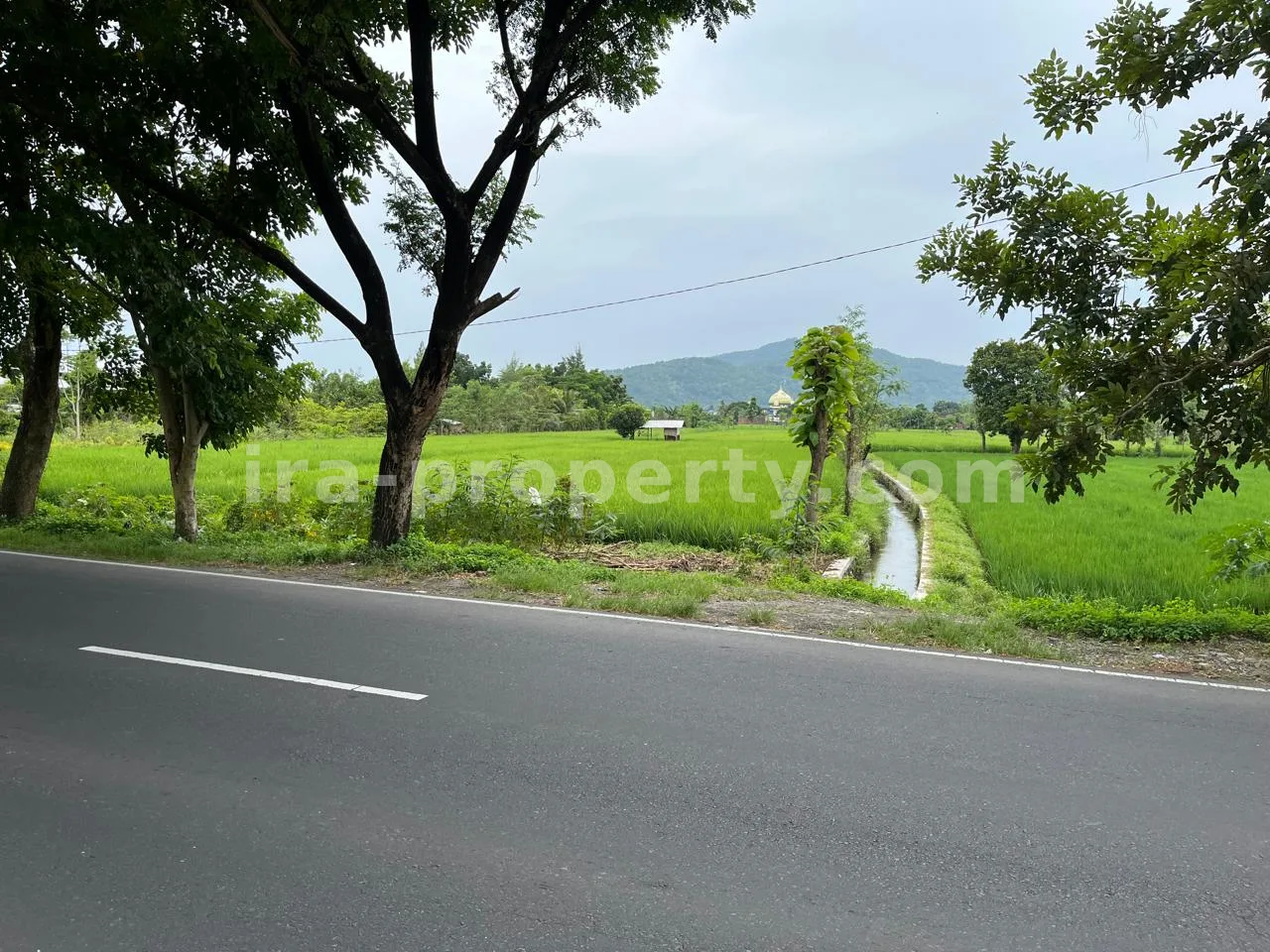 Land for Sale in Bypass Lombok Airport, Central Lombok - 399 - 1