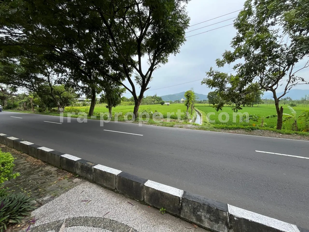 Land for Sale in Bypass Lombok Airport, Central Lombok - 399 - 2