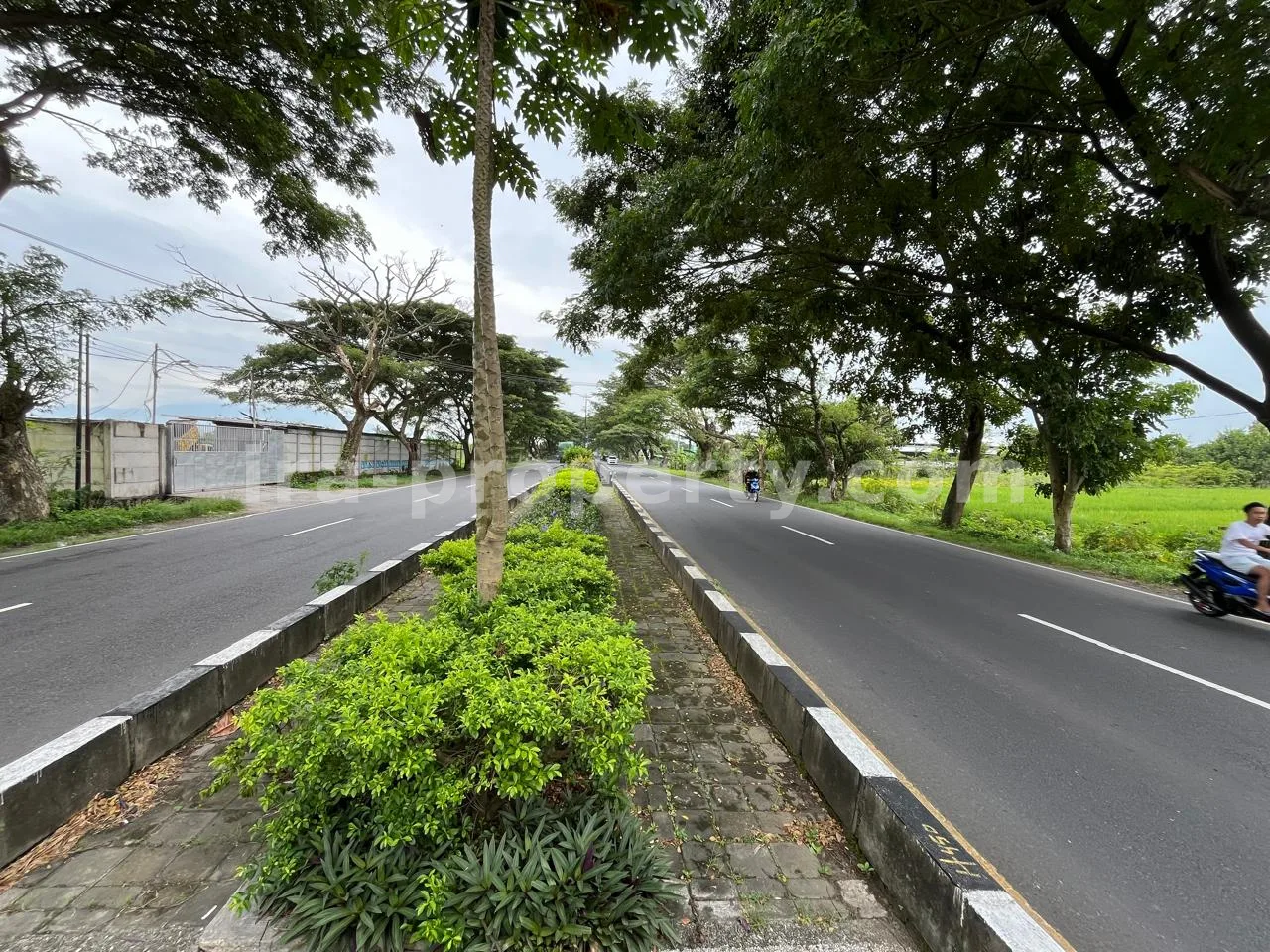 Land for Sale in Bypass Lombok Airport, Central Lombok - 399 - 3
