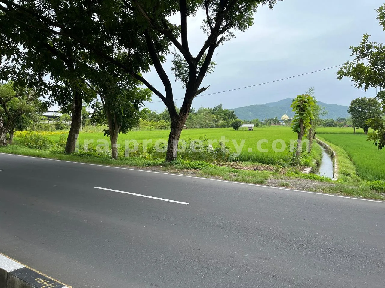 Land for Sale in Bypass Lombok Airport, Central Lombok - 399 - 4