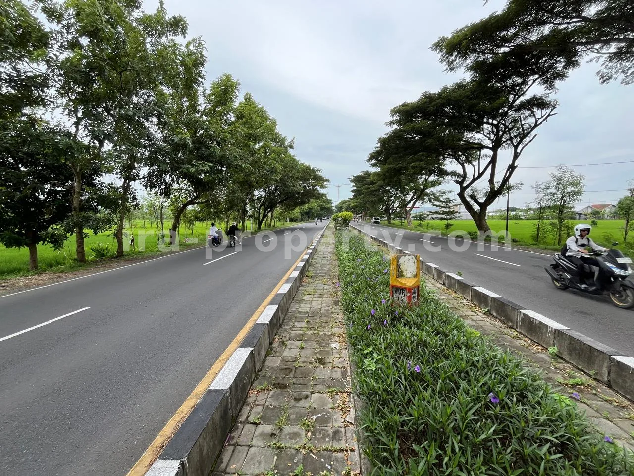 Land for Sale in Bypass Lombok Airport, Central Lombok - 399 - 5