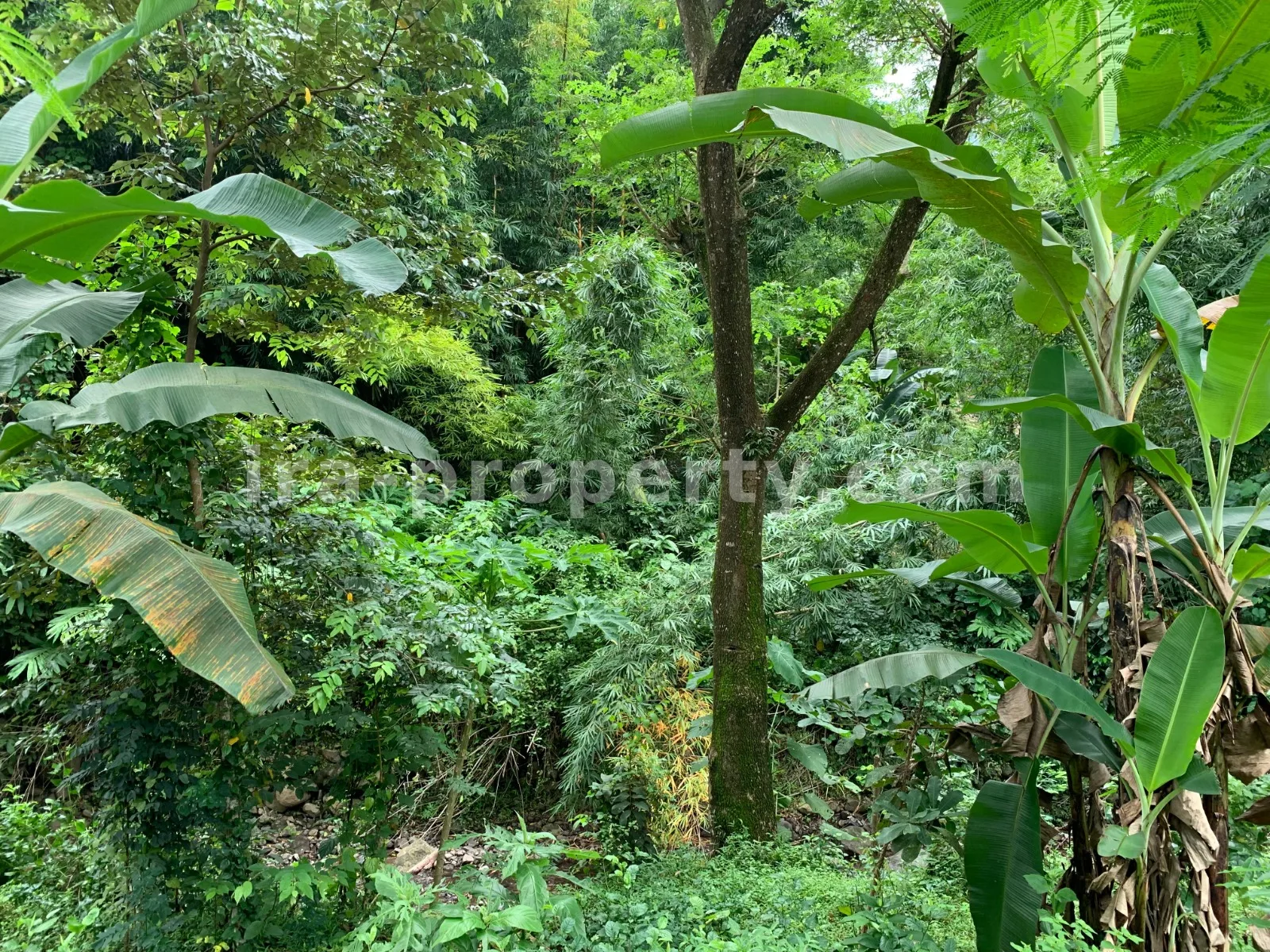 Tanah Dijual di Malimbu Dekat Senggigi, Lombok Barat - 372-2 - 2
