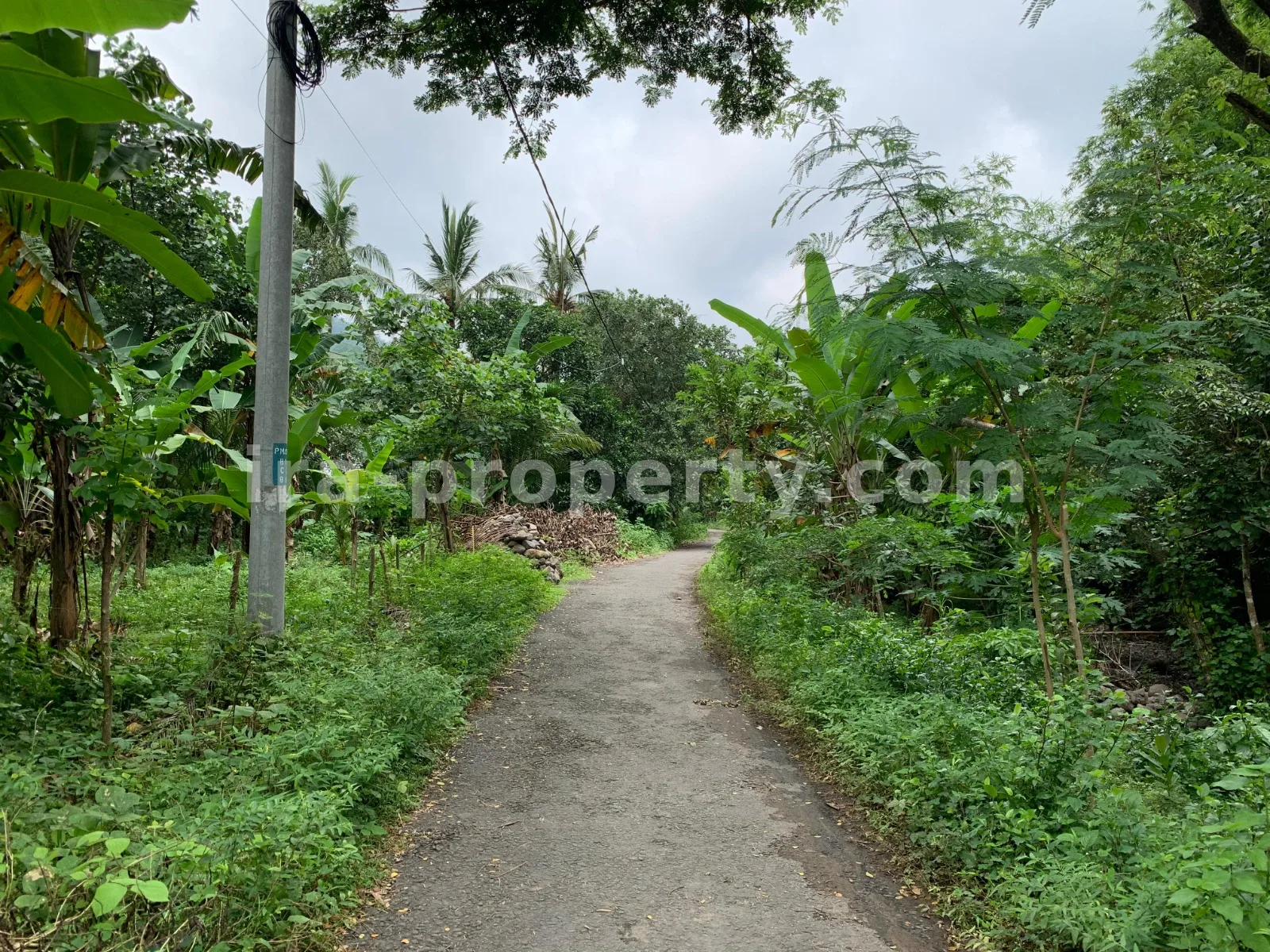 Tanah Dijual di Malimbu Dekat Senggigi, Lombok Barat - 372-2 - 3